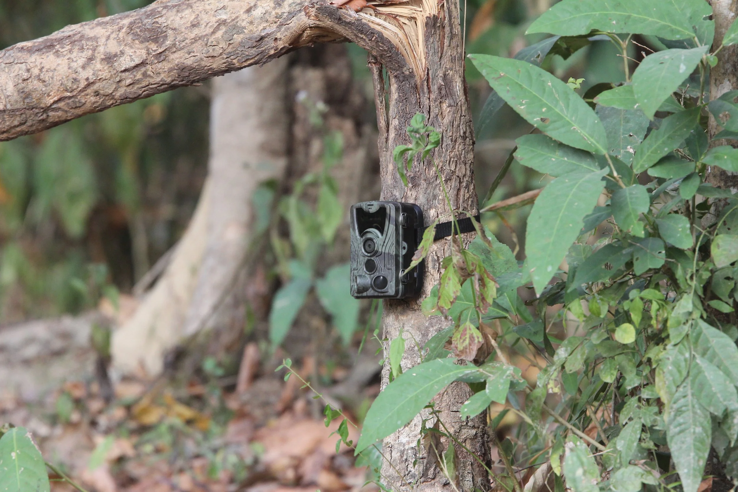 KAENG KRACHAN NP G.JPG