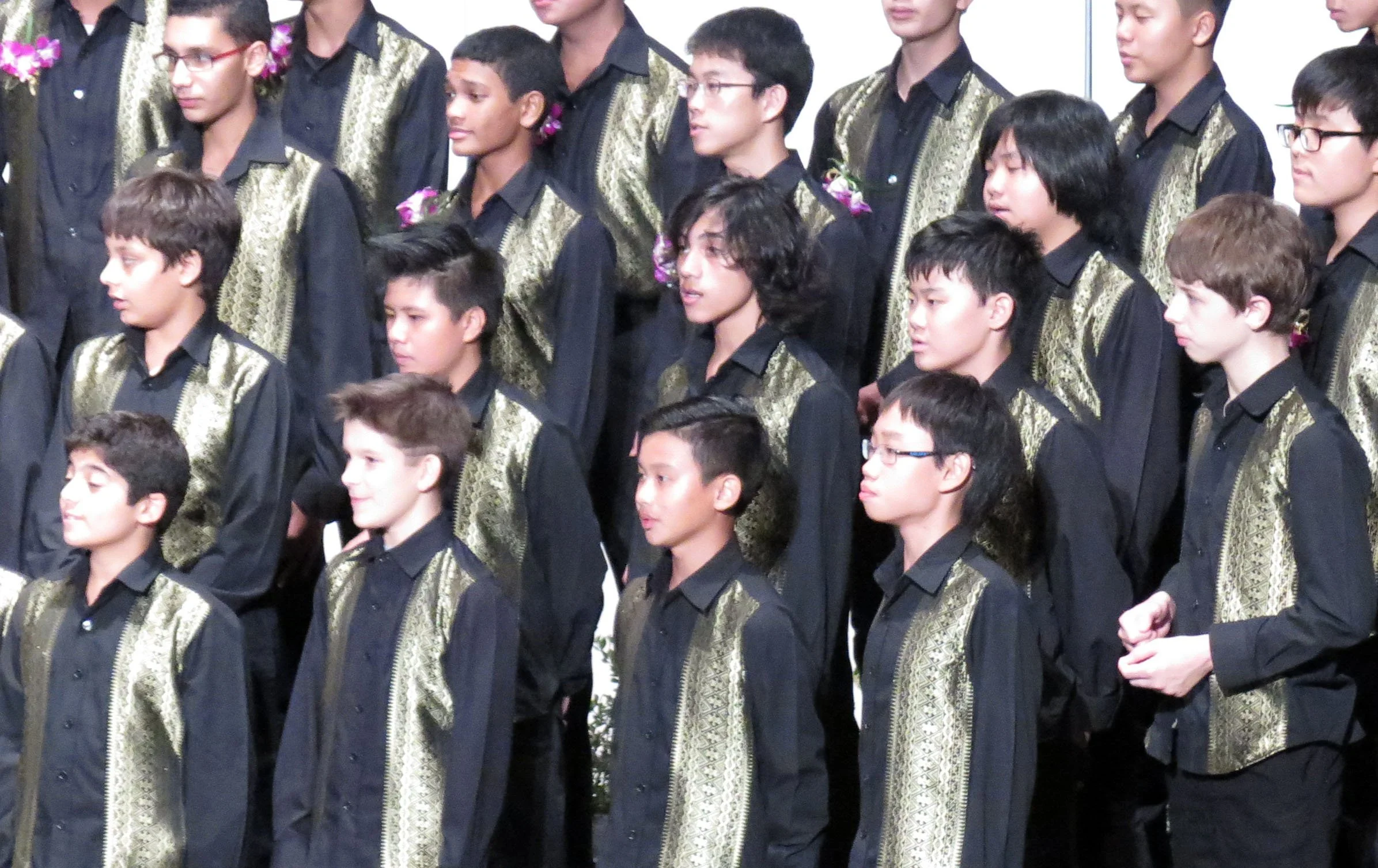 2015 Spring Concert for Cokie at ISB (6).JPG