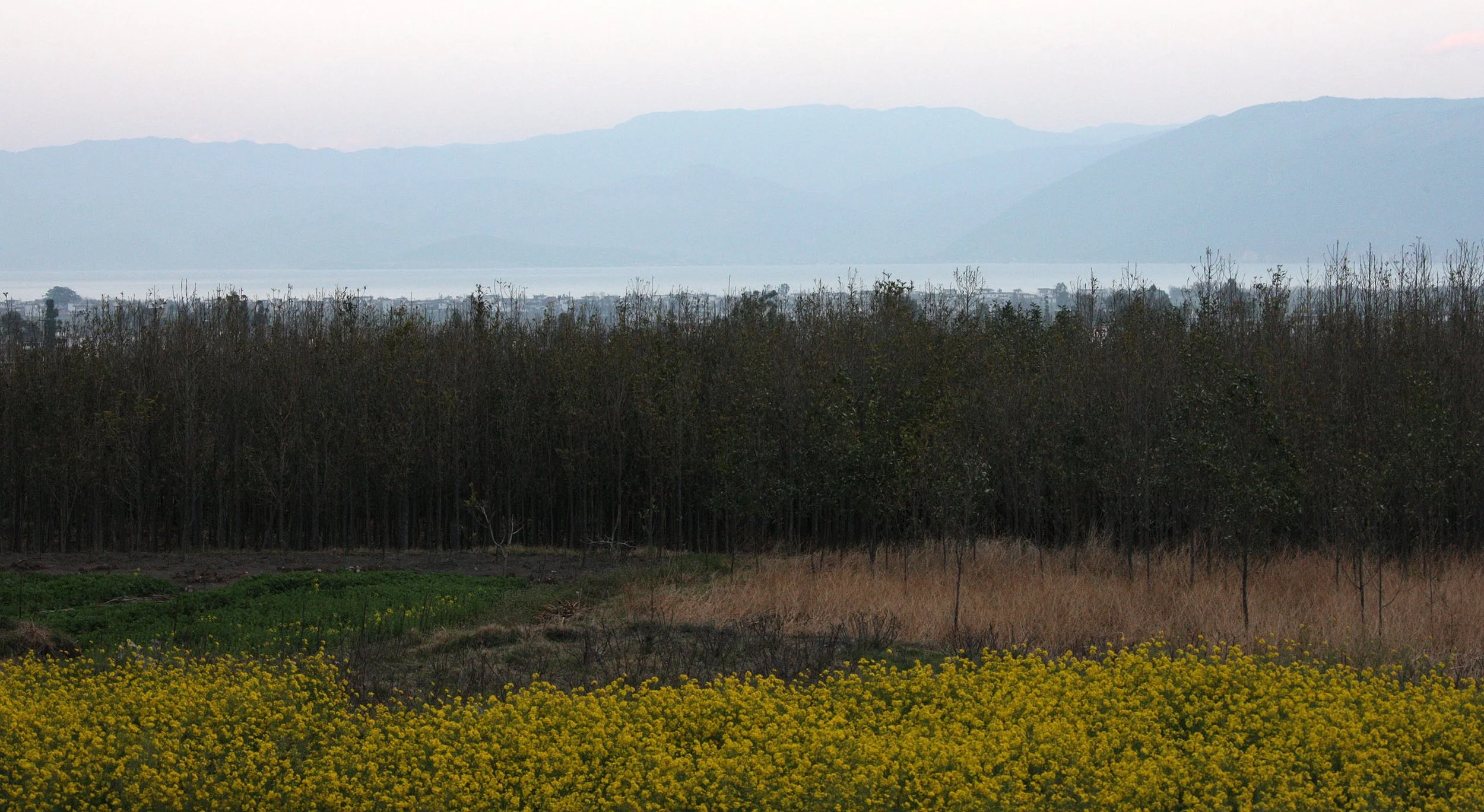 YUNNAN - DALI AND SURROUNDING AREA (21).JPG