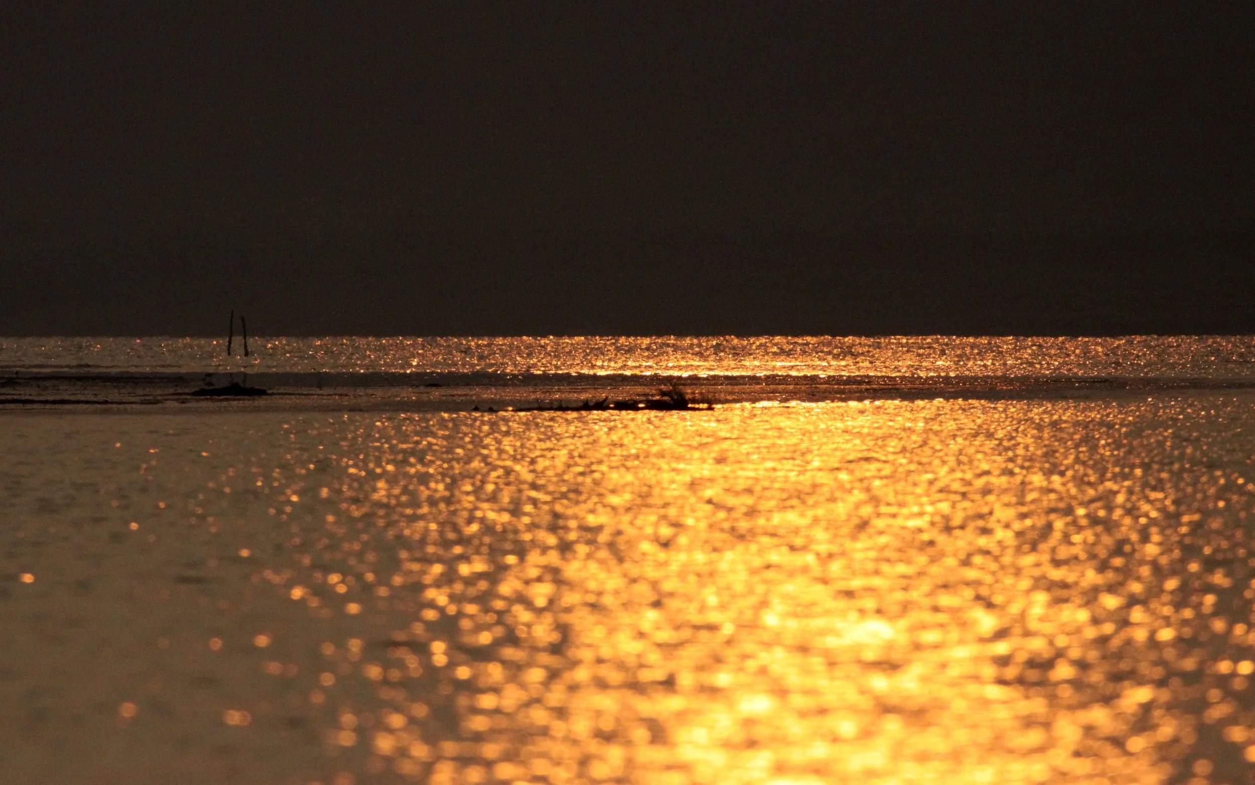 CHAMBAL SANCTUARY INDIA (44).JPG