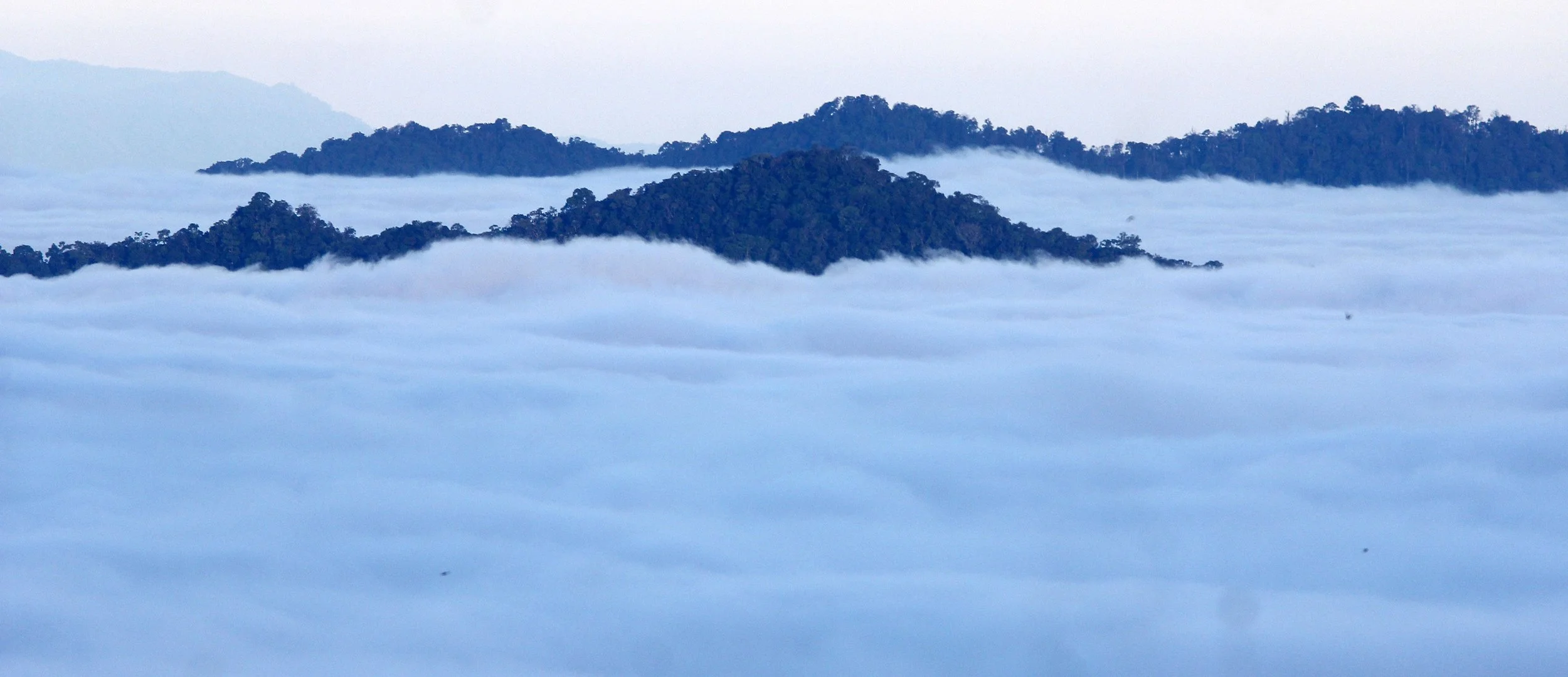 "Thale mog" is frequent in valleys or hilly areas where cold, dense air drains down from higher elevations and gathers in low spots, trapped by the warmer air above.