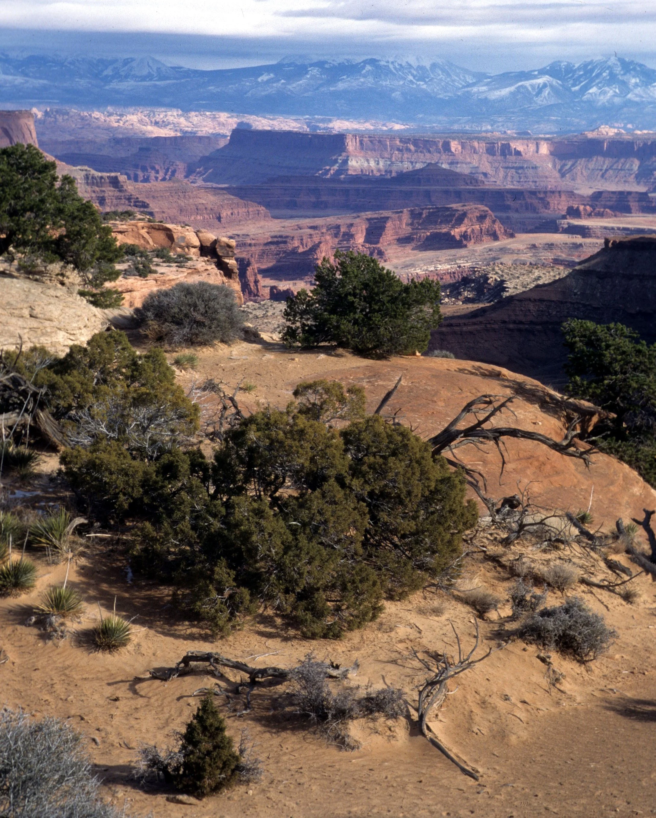 UTAH - CANYONLANDS NP K3.jpg