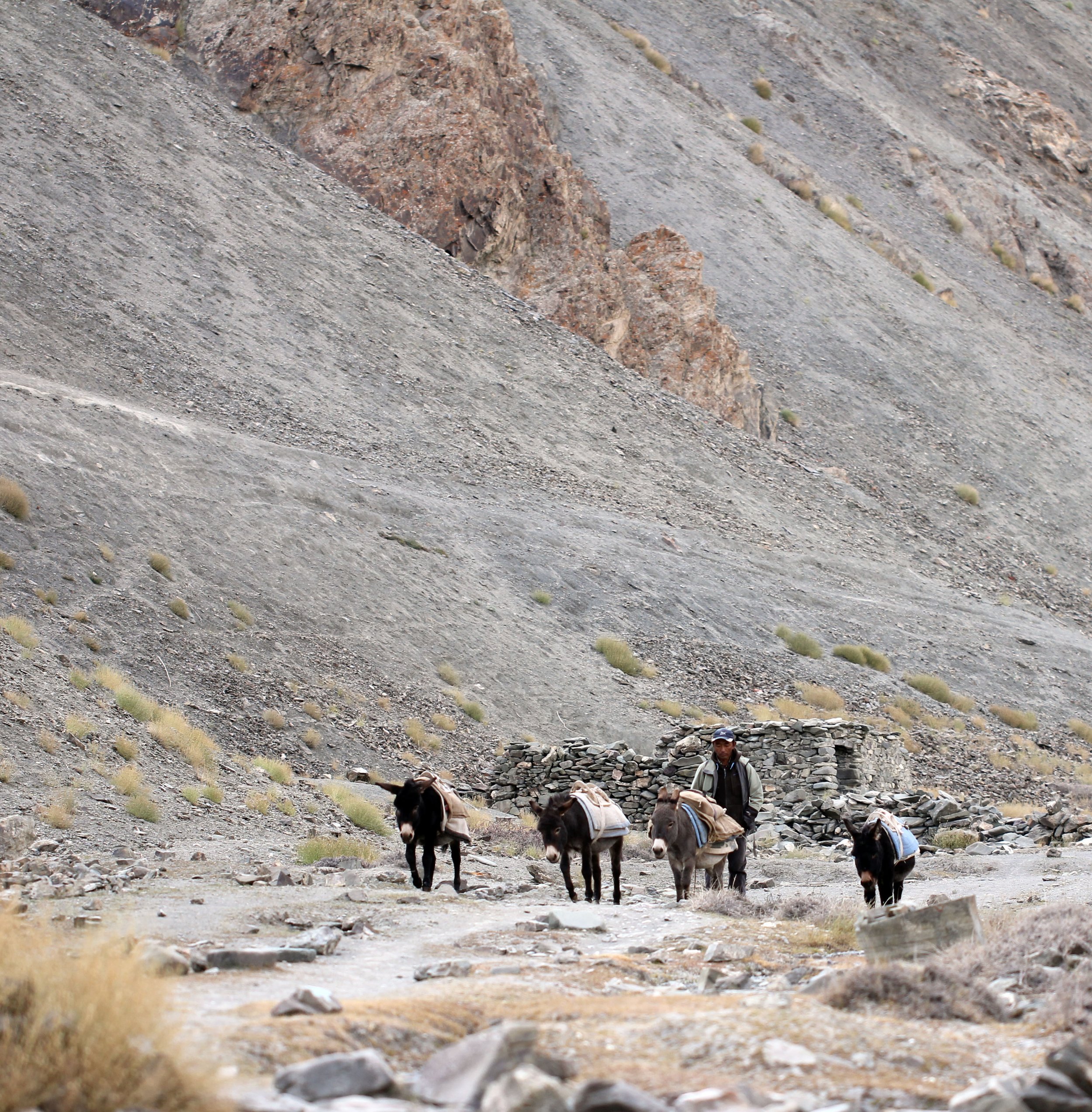 HEMIS NATIONAL PARK - LADAKH INDIA - JAMMU & KASHMIR NEAR RUMBAK VILLAGE (126).JPG