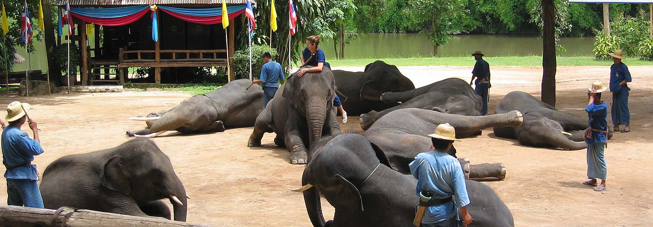 2008 Lampang City & Elephant Center (135).jpg