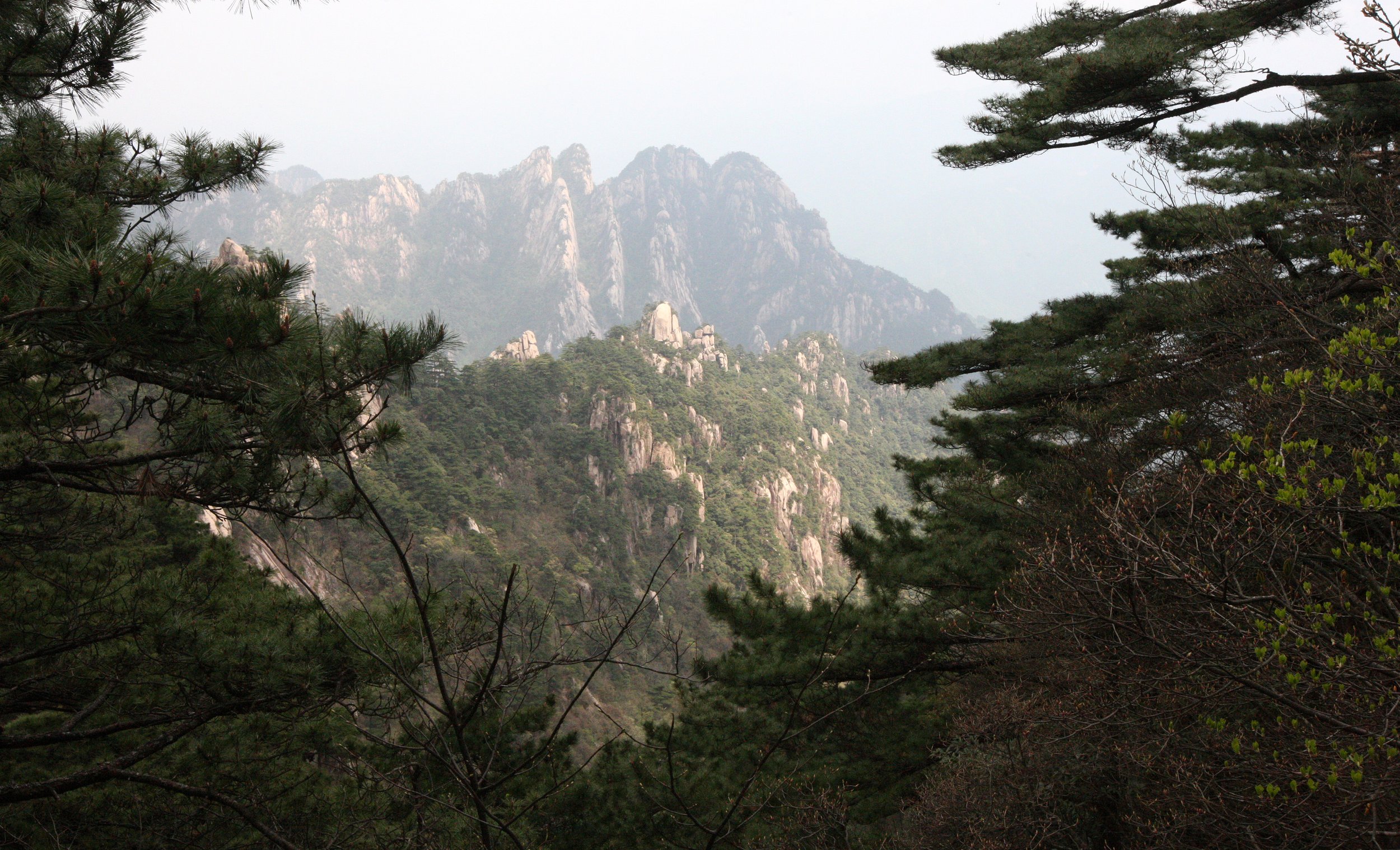 HUANGSHAN NATIONAL PARK ANHUI PROVINCE CHINA (43).JPG