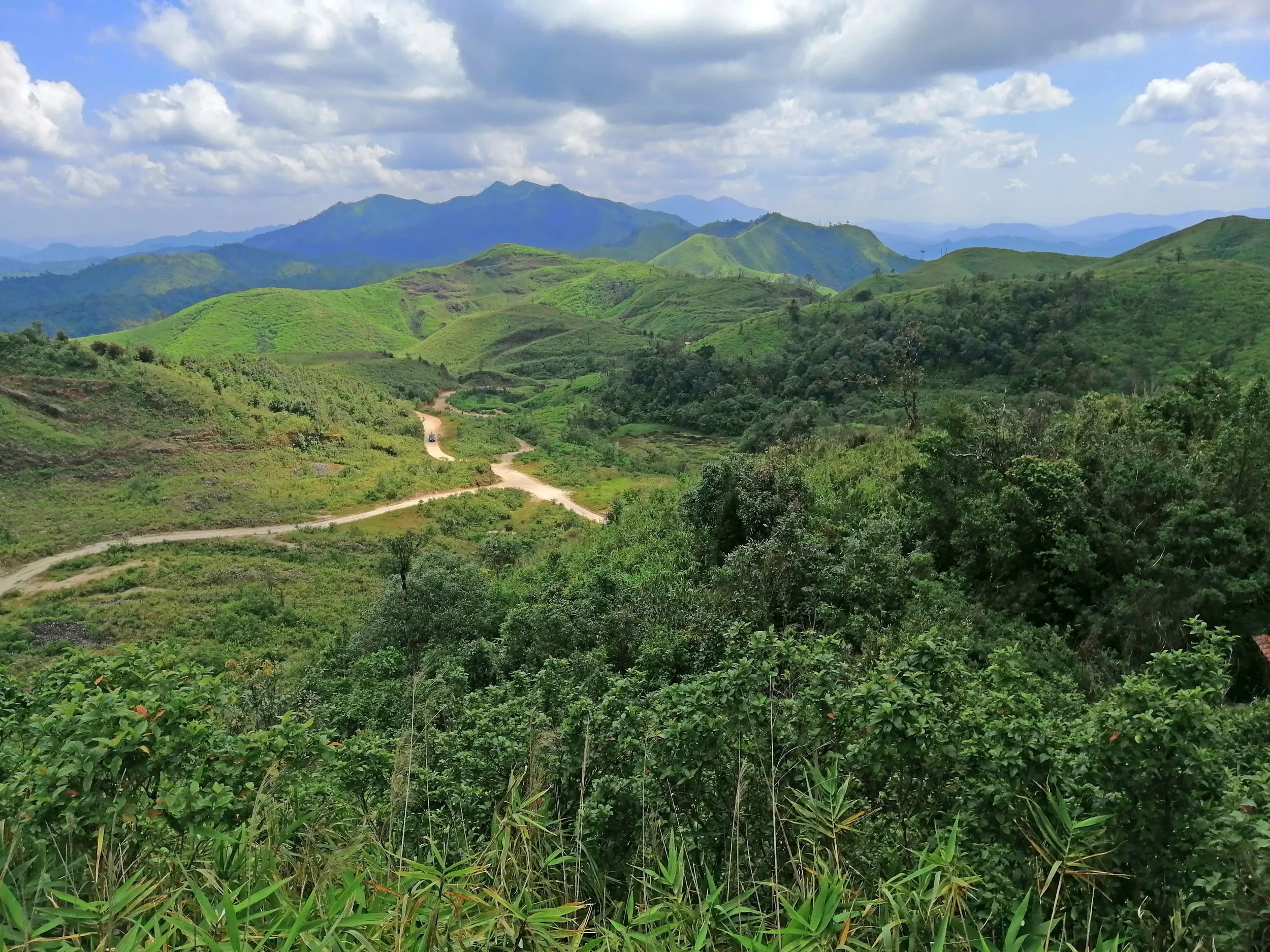 The removal of forest cover on steep mountain slopes led to severe soil erosion. Without the protective canopy and leaf litter, the nutrient-rich topsoil was washed away by heavy monsoon rains, leaving behind "degraded" land where only hardy grasses 
