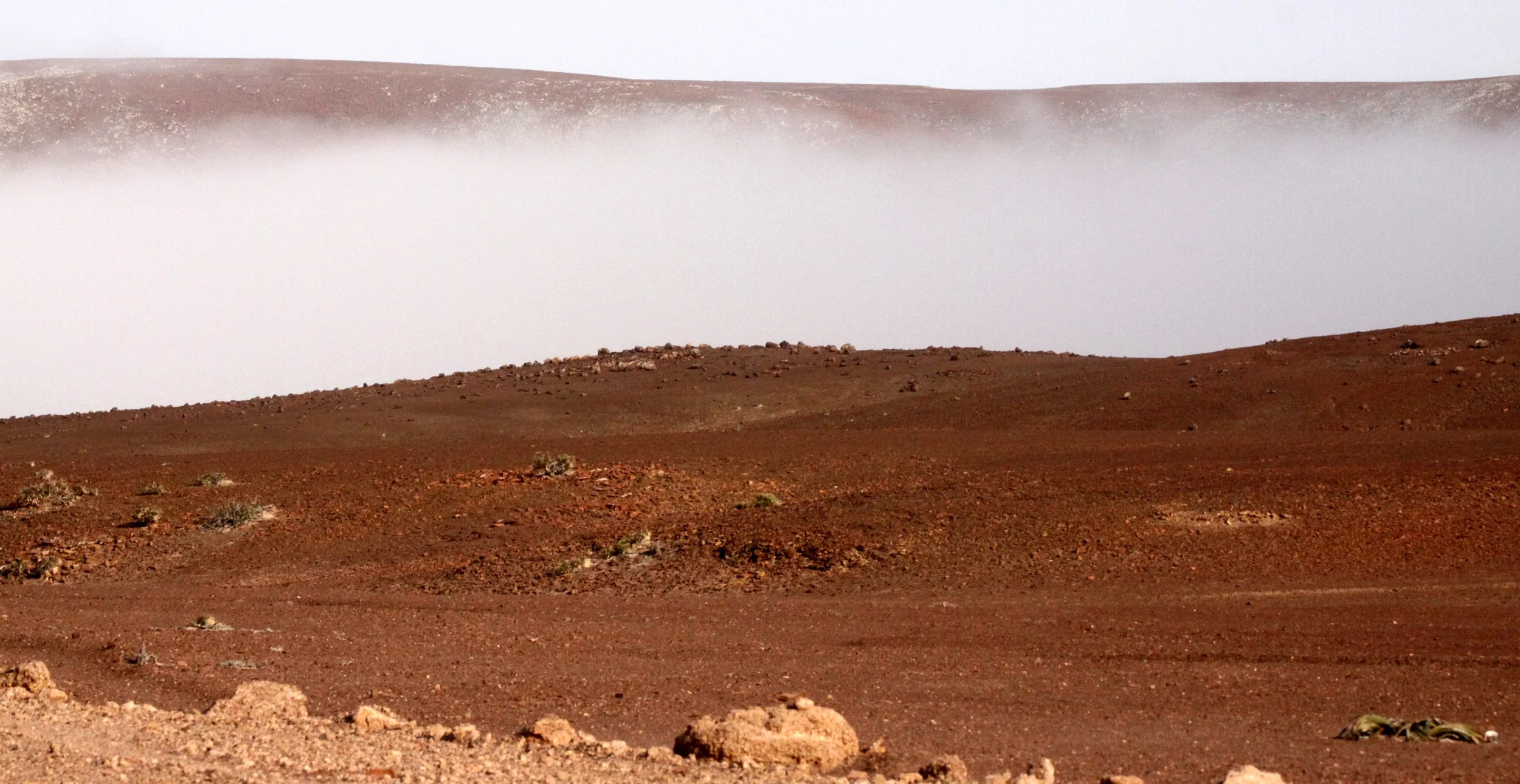 NAMIBIA - SKELETON COAST NATIONAL PARK - SCENERY (4).JPG