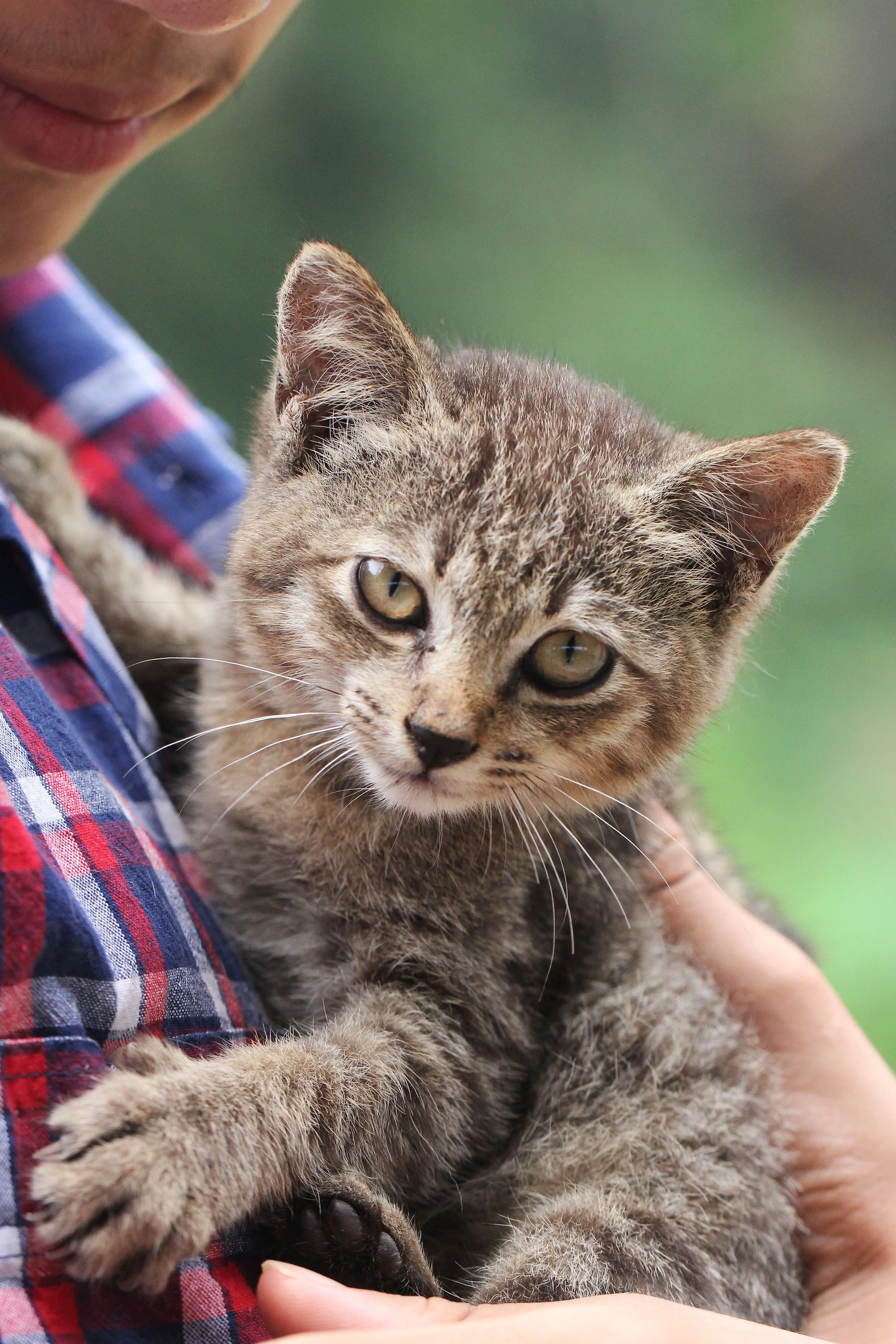 2015 Koh Lanta October Break Trip  (265).JPG