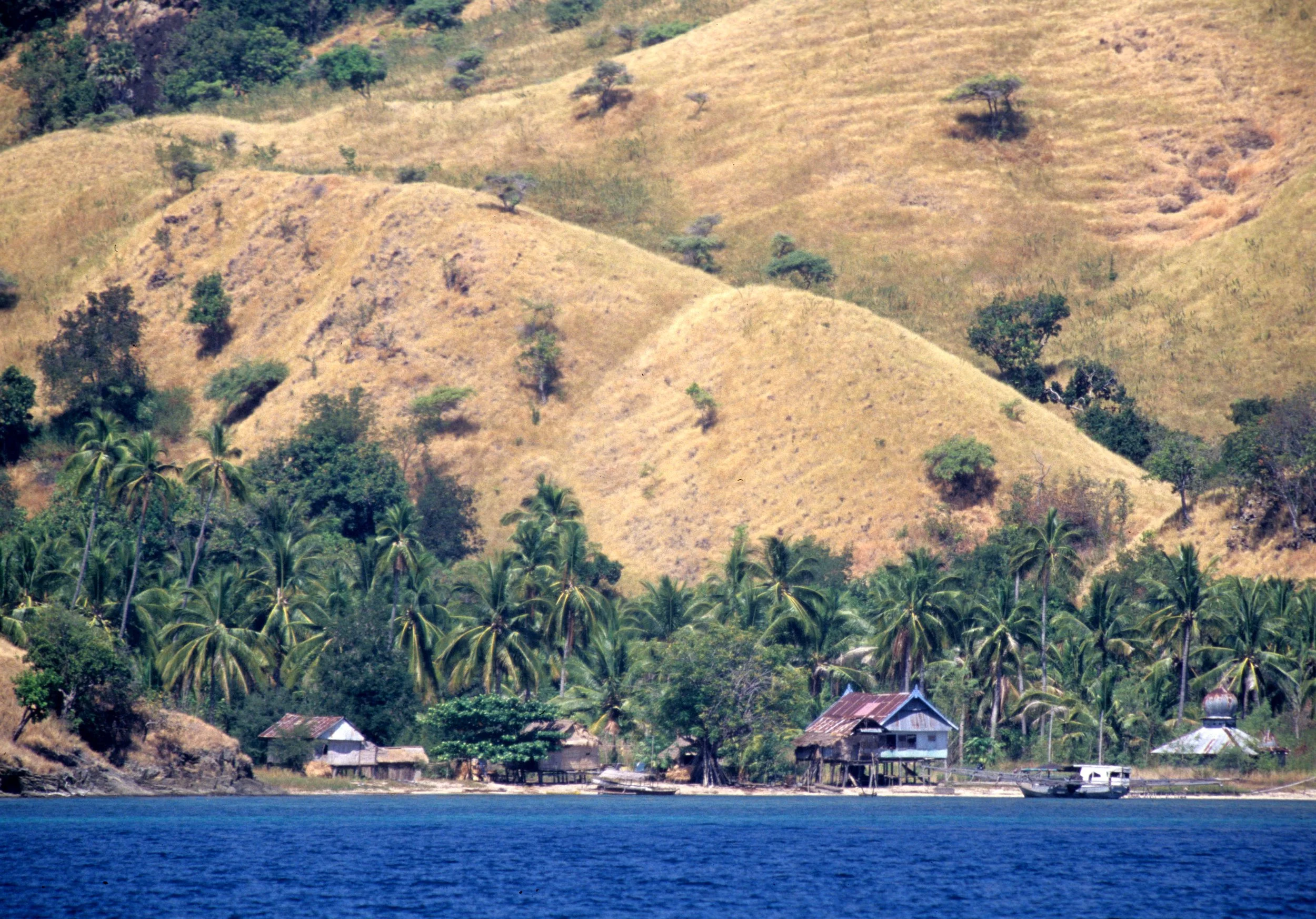 KOMODO - VILLAGE.jpg