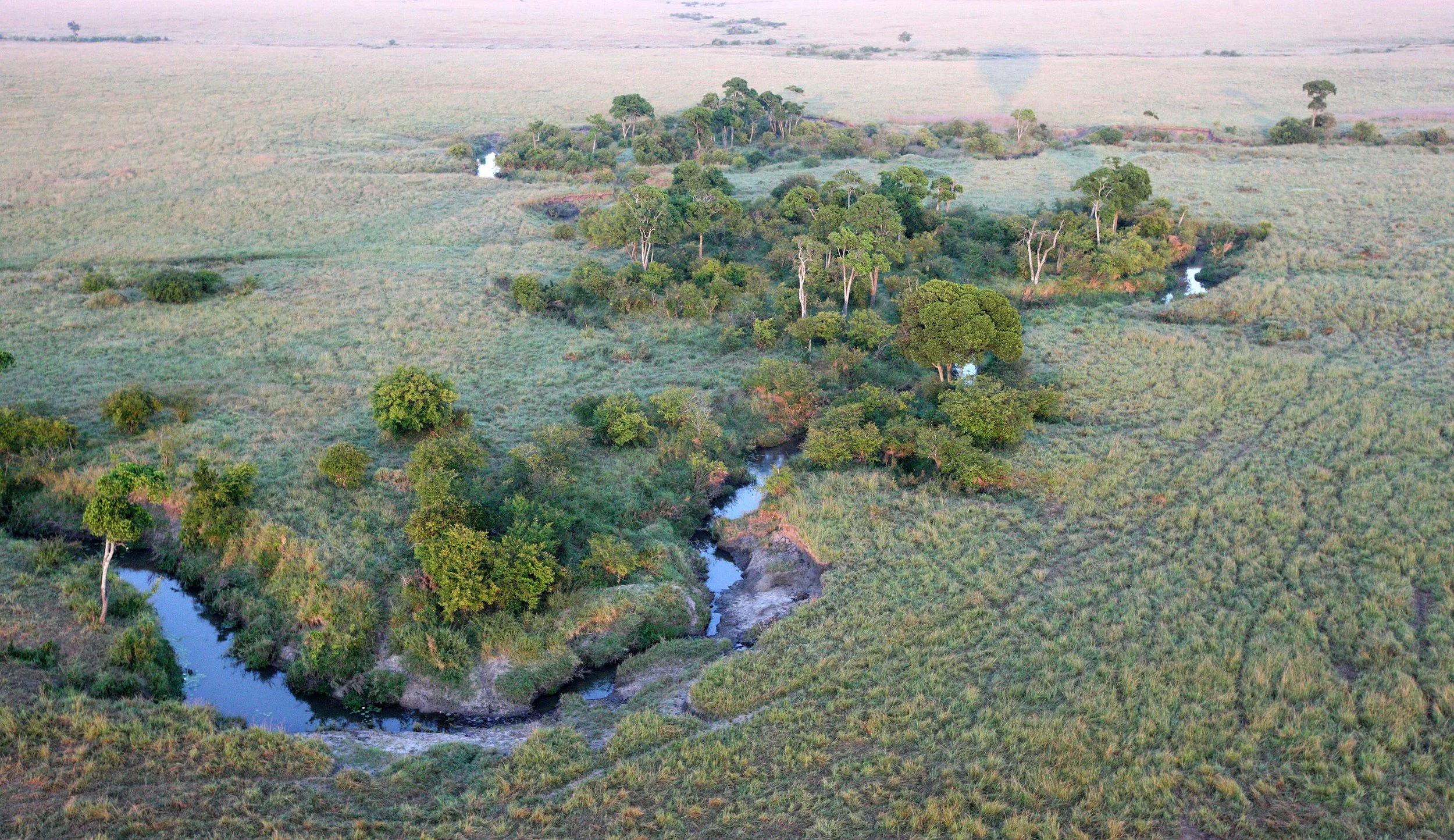 MASAI MARA NATIONAL PARK KENYA (91).JPG