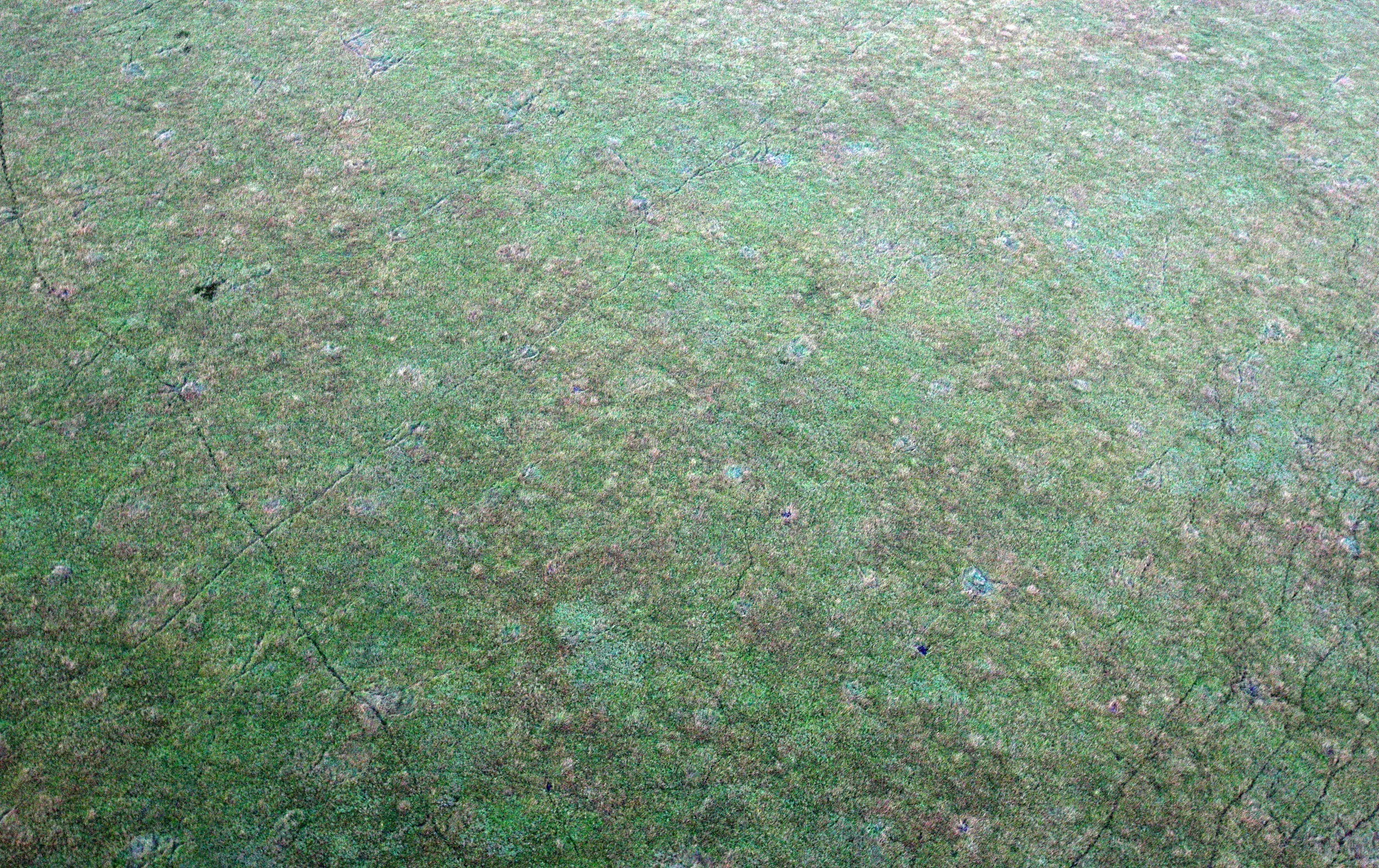 MASAI MARA NATIONAL PARK KENYA (74).JPG