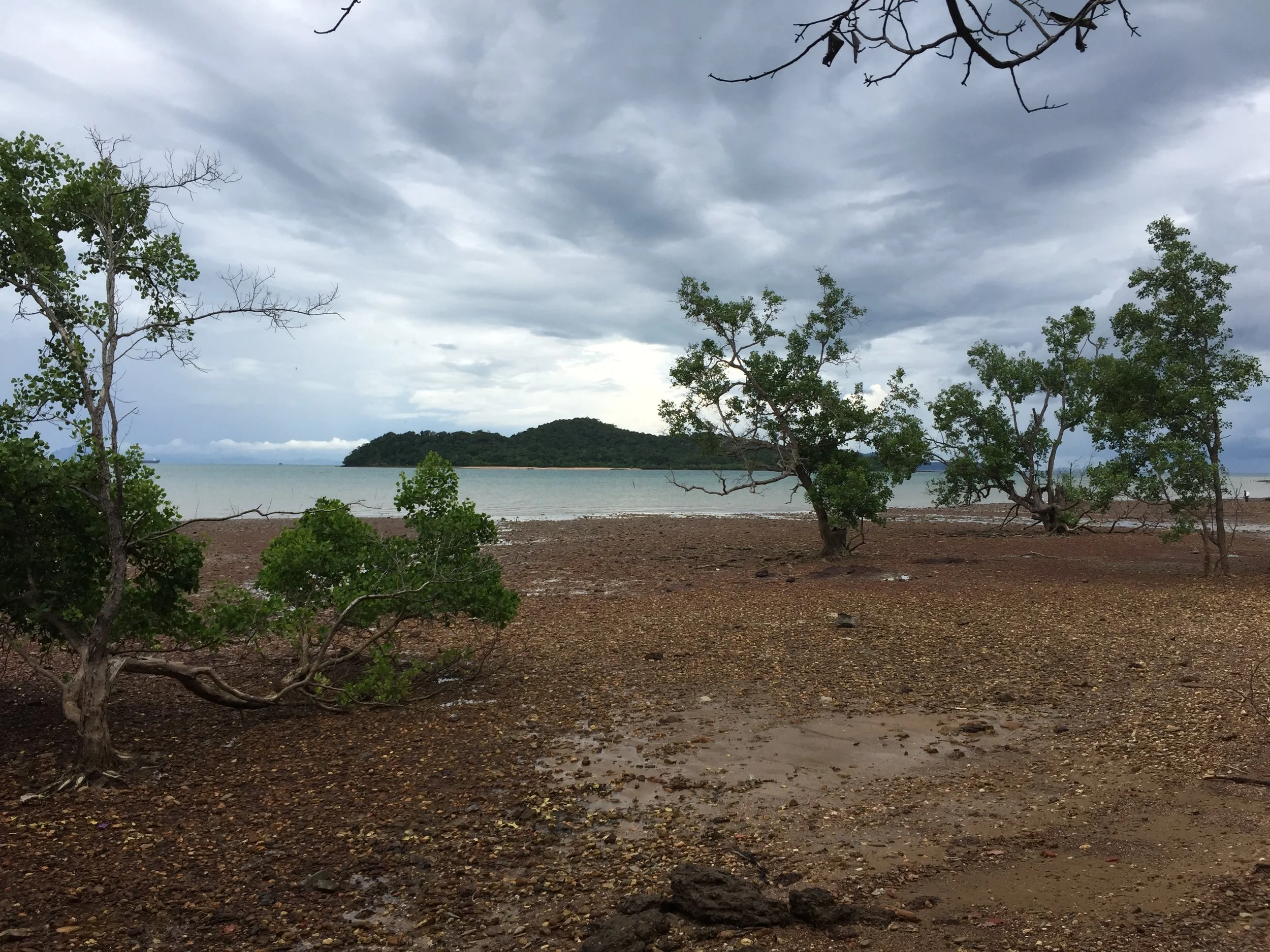 2015 Koh Lanta Garden & Nature (174).JPG