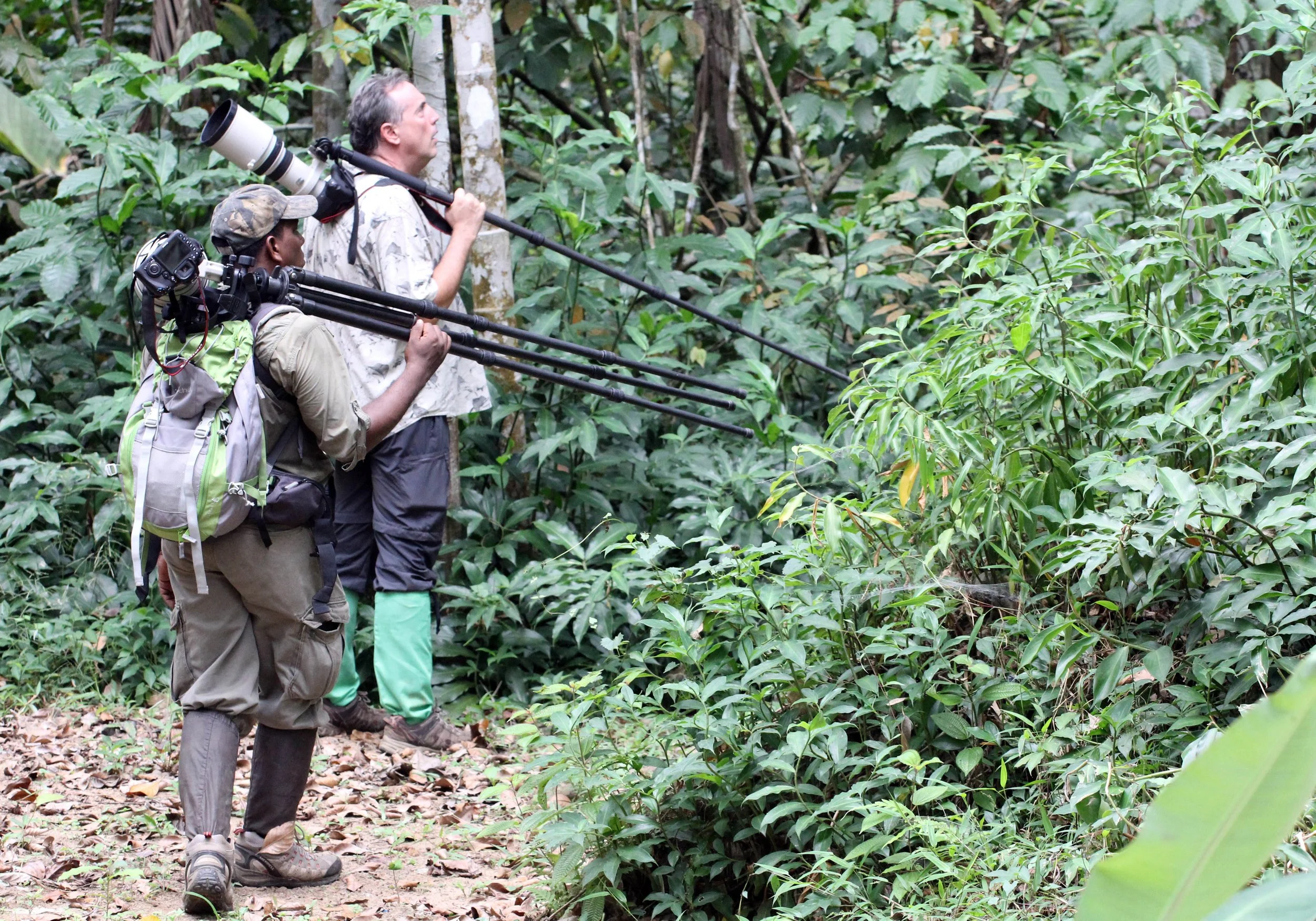 KITULGALA FOREST PRESERVE, SRI LANKA (101).JPG