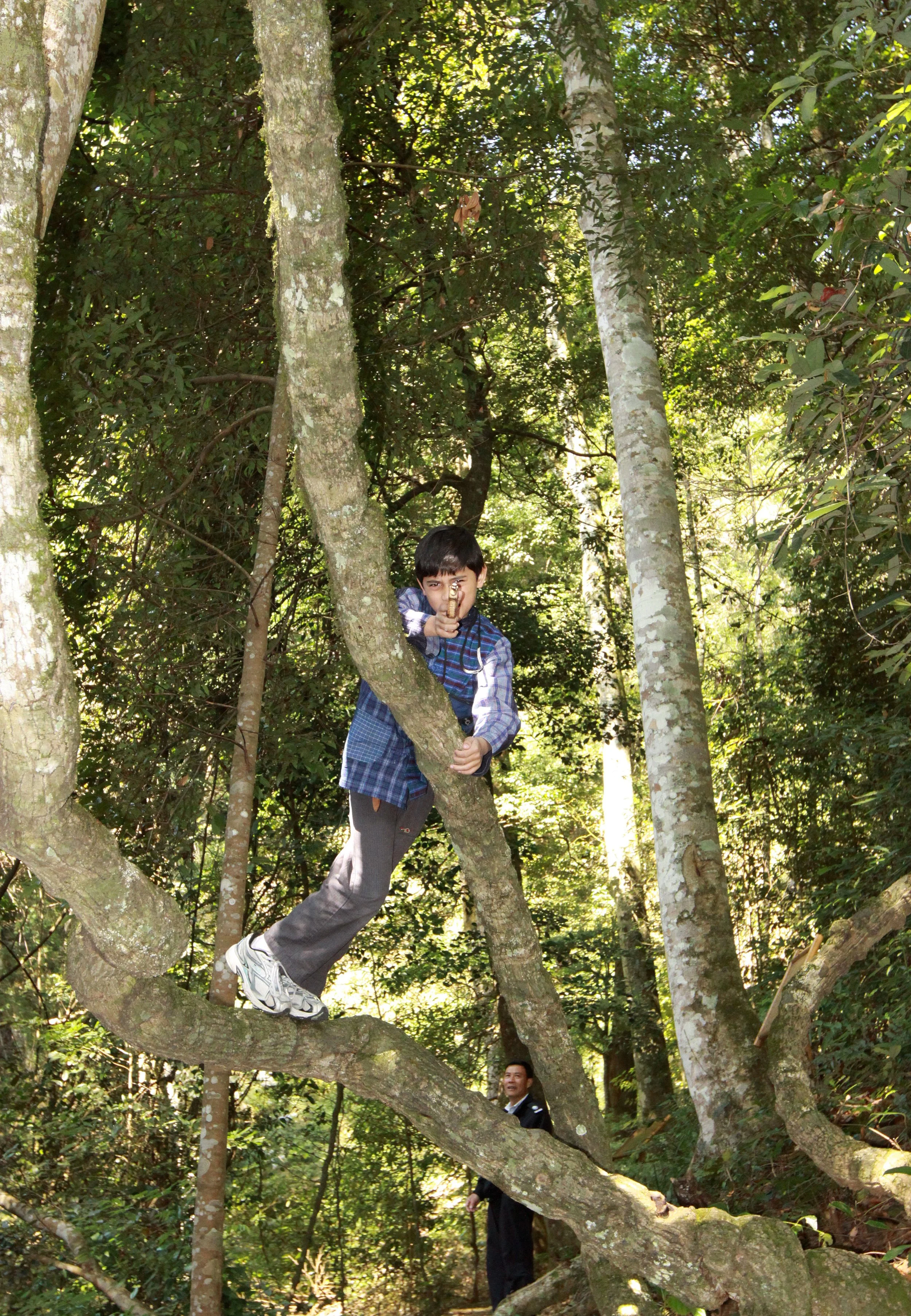 CHINESE YEW RESERVE - FUJIAN CHINA (15).JPG