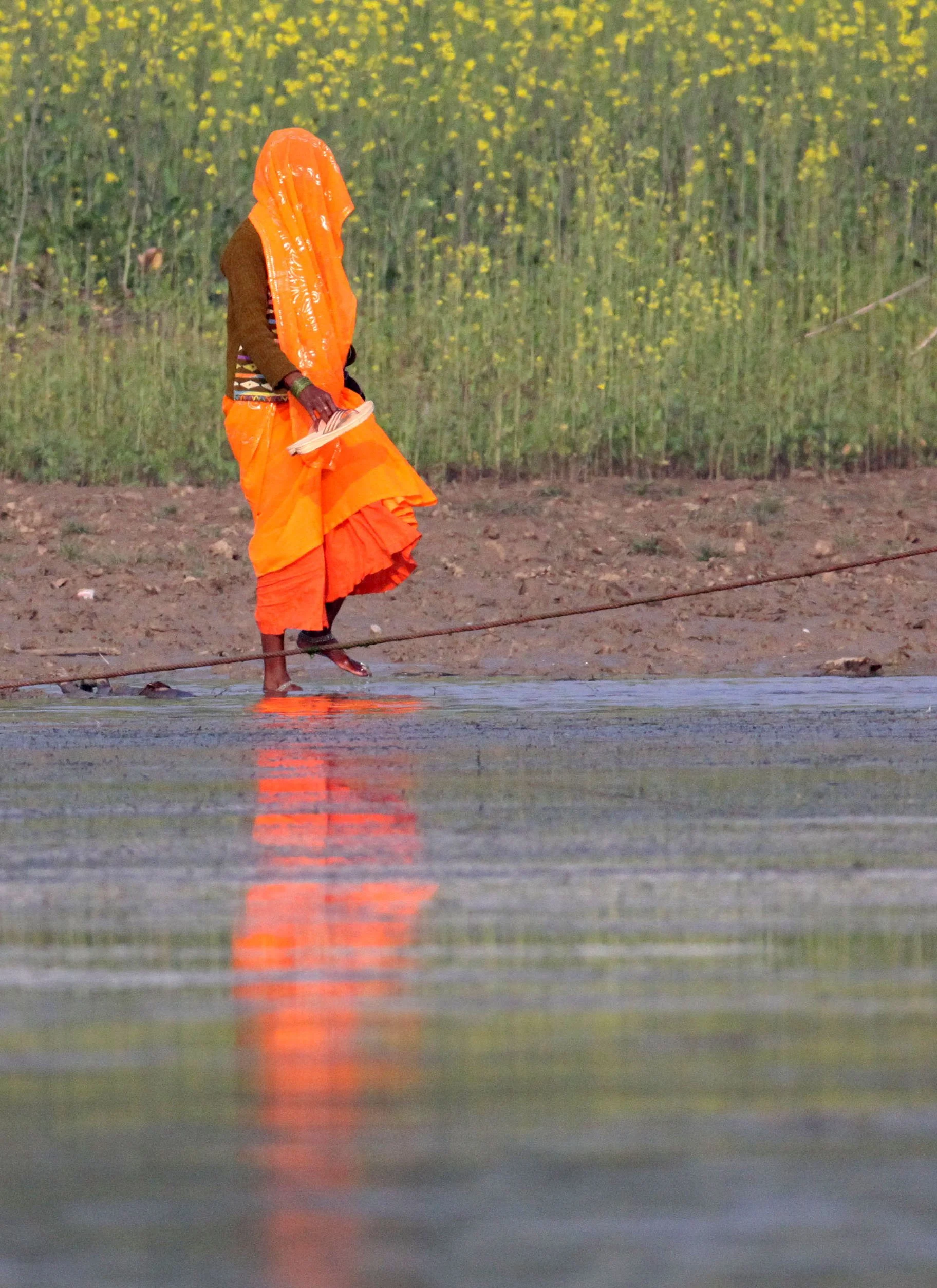 CHAMBAL SANCTUARY INDIA (43).JPG