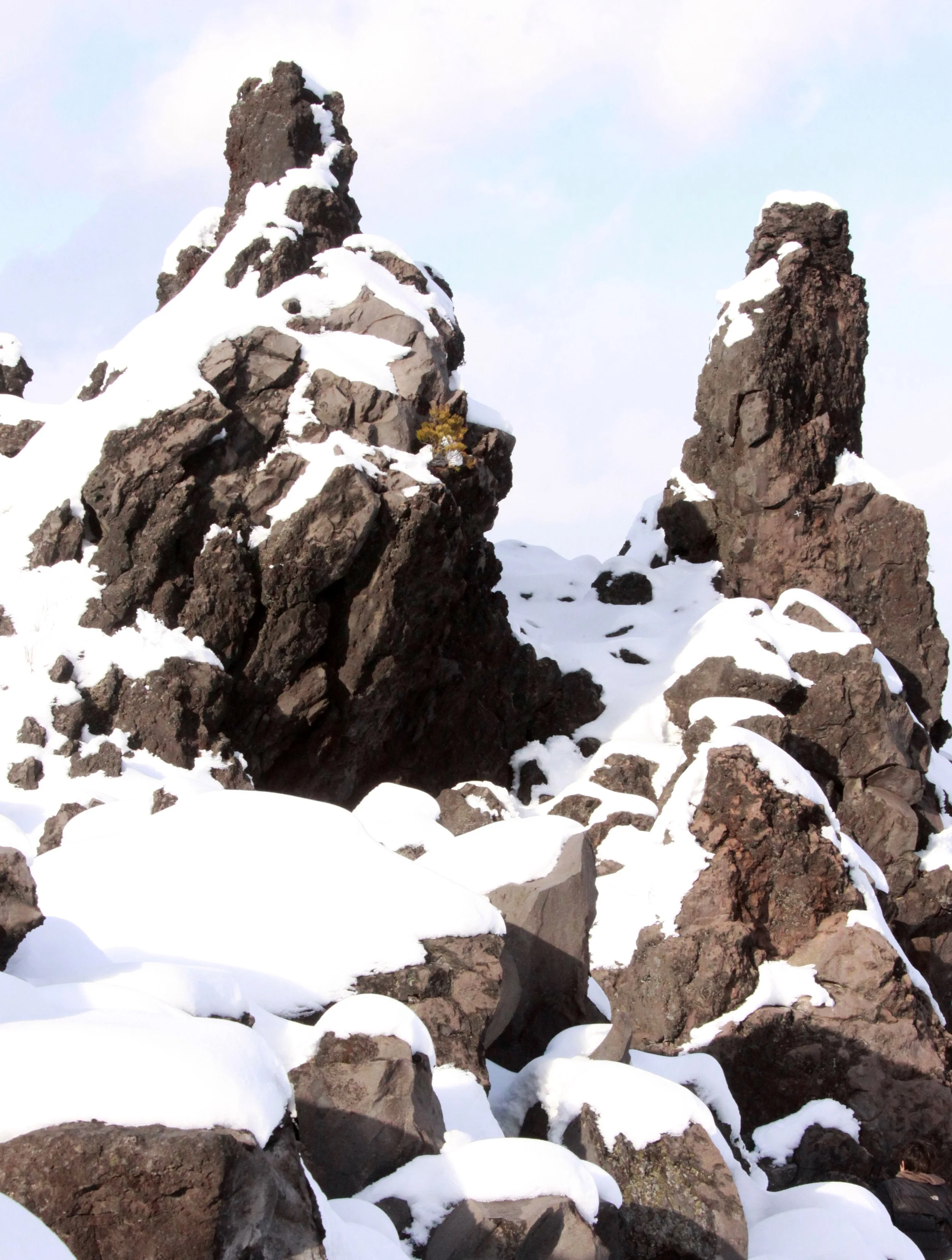 MOUNT ASAMA - JOSHIN'ETSUKOGEN NATIONAL PARK JAPAN (110).JPG