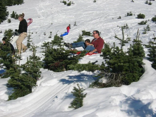 2005-11-19 DAY ON HURRICANE RIDGE (9).JPG