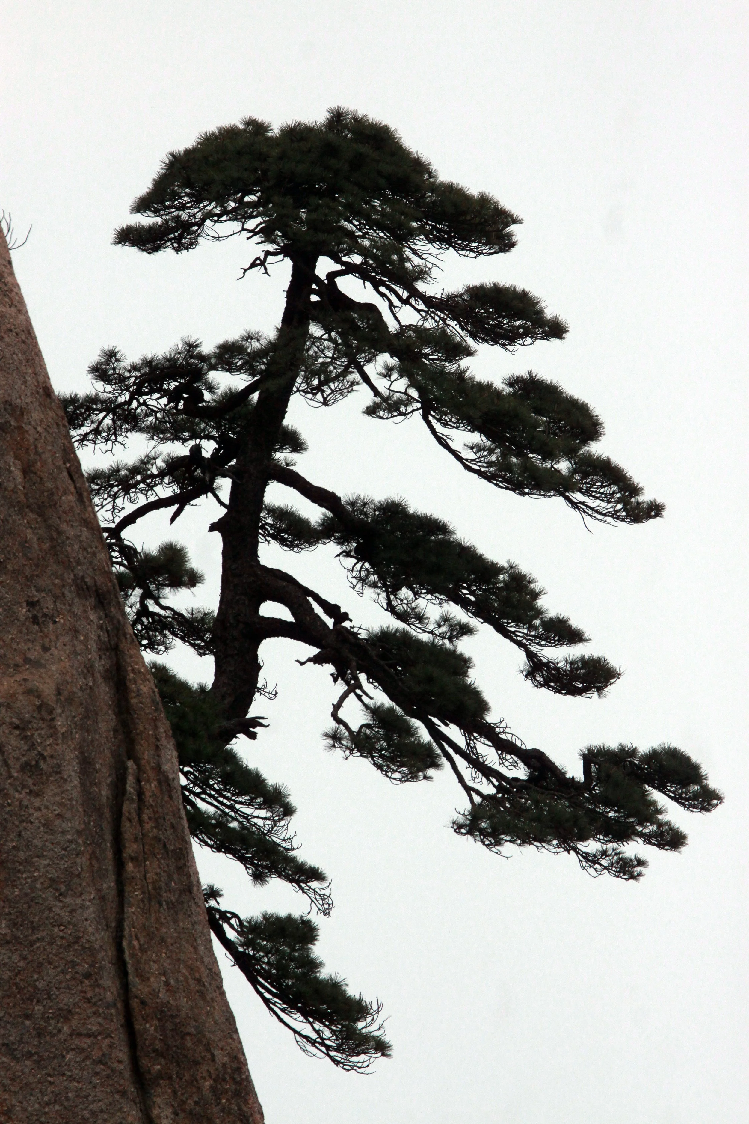 Huangshan National Park