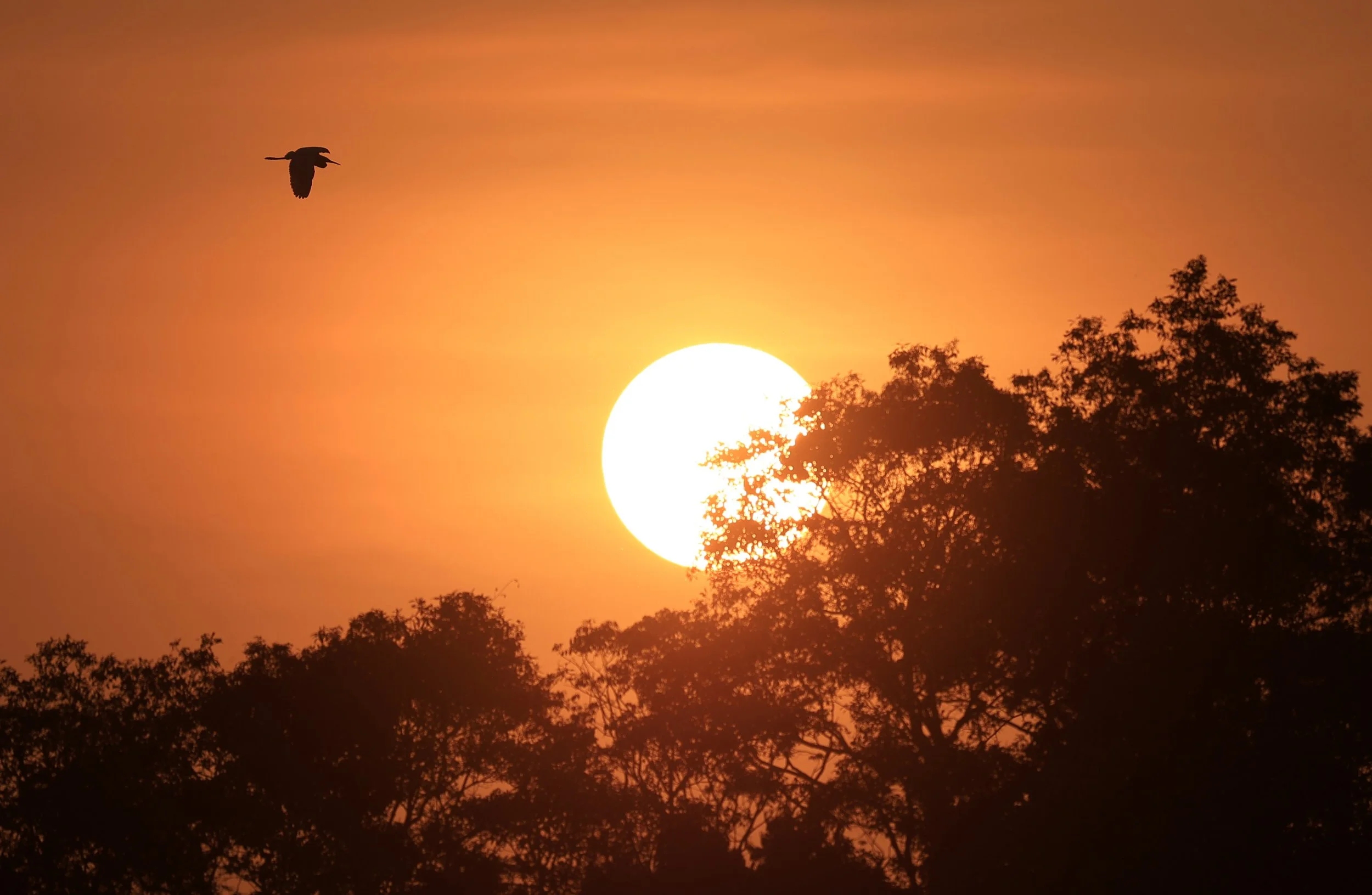 Khao Yai National Park, Thailand (140).jpg