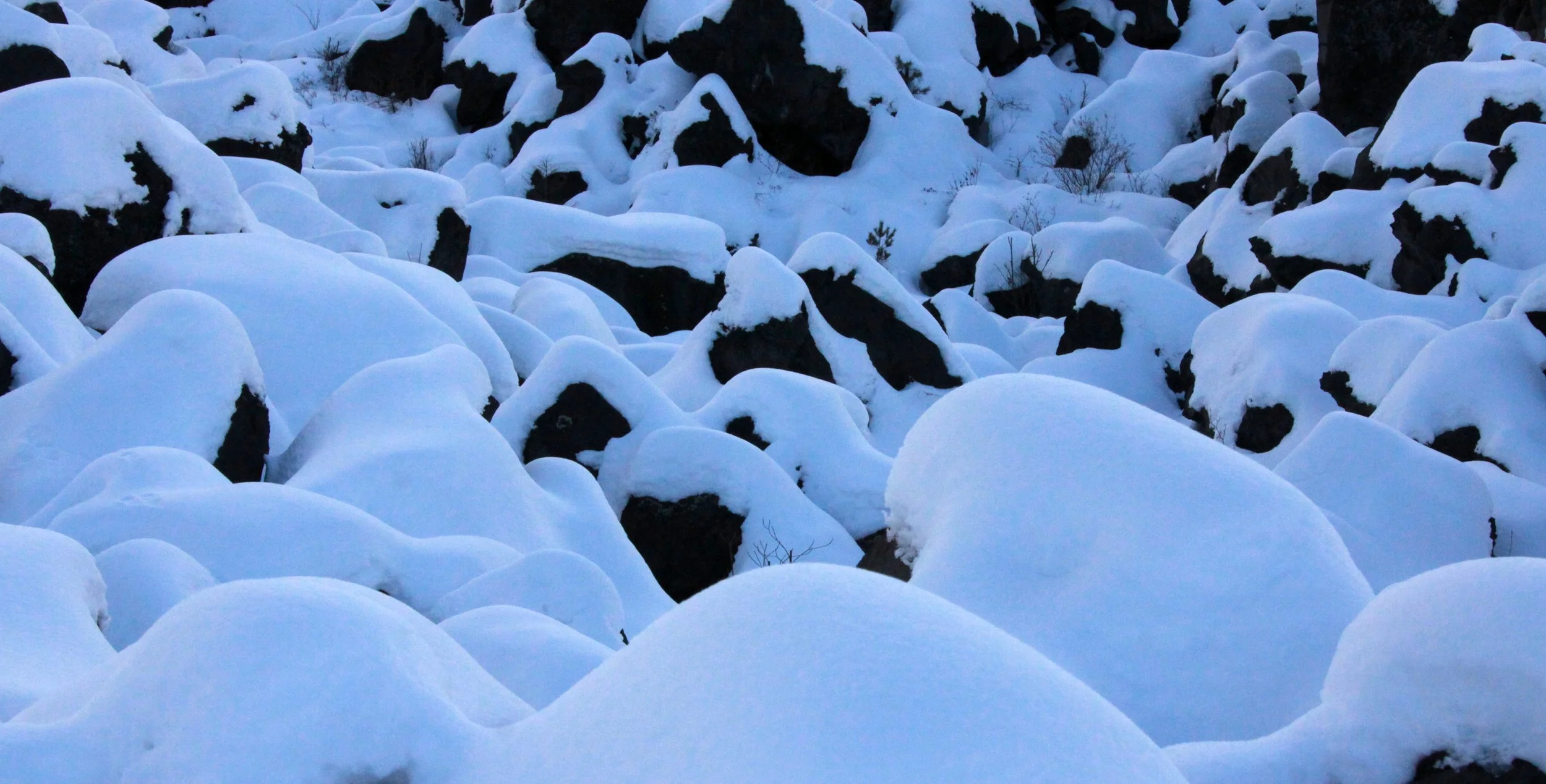 MOUNT ASAMA - JOSHIN'ETSUKOGEN NATIONAL PARK JAPAN (86).JPG