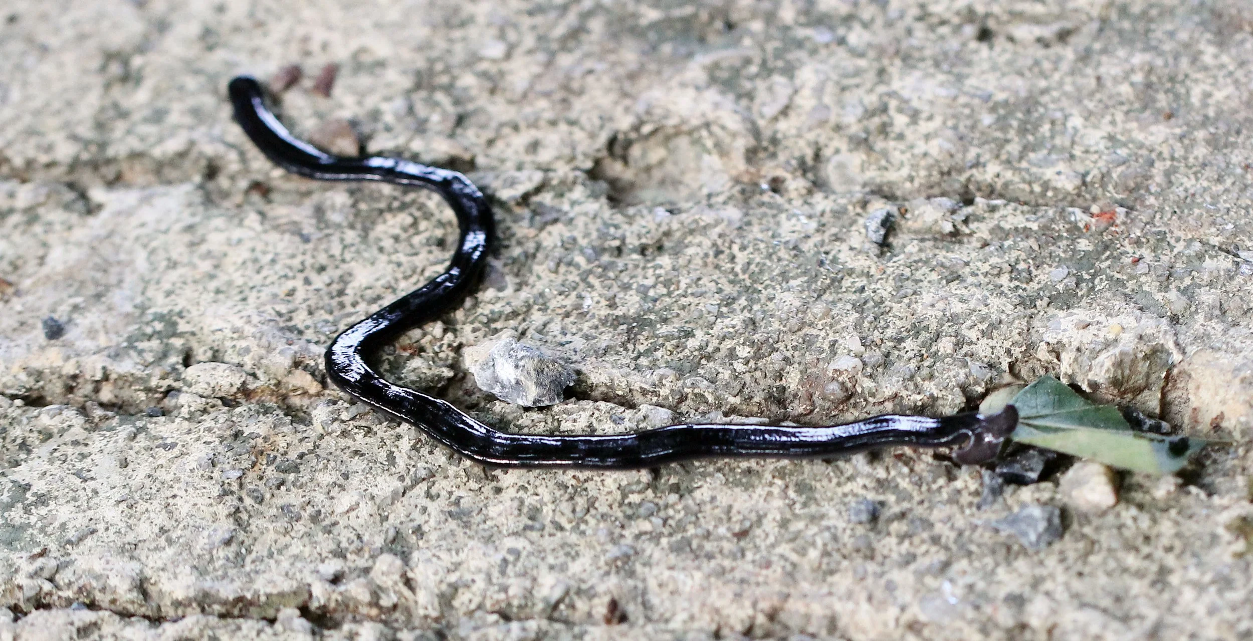 2015 Koh Lanta October Break Trip  (126).JPG