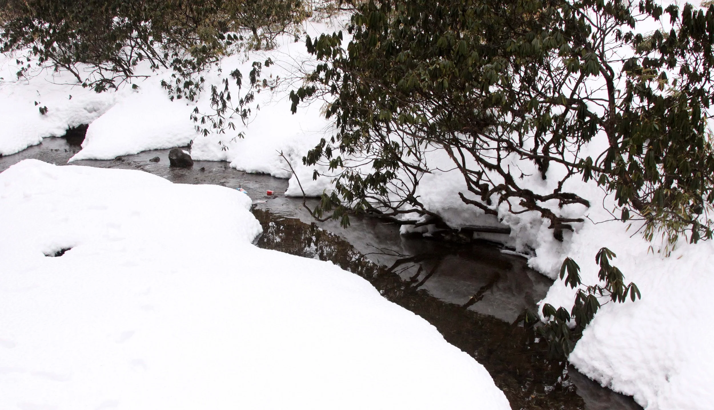 WAWU SHAN GEOPARK - SICHUAN CHINA (24).JPG