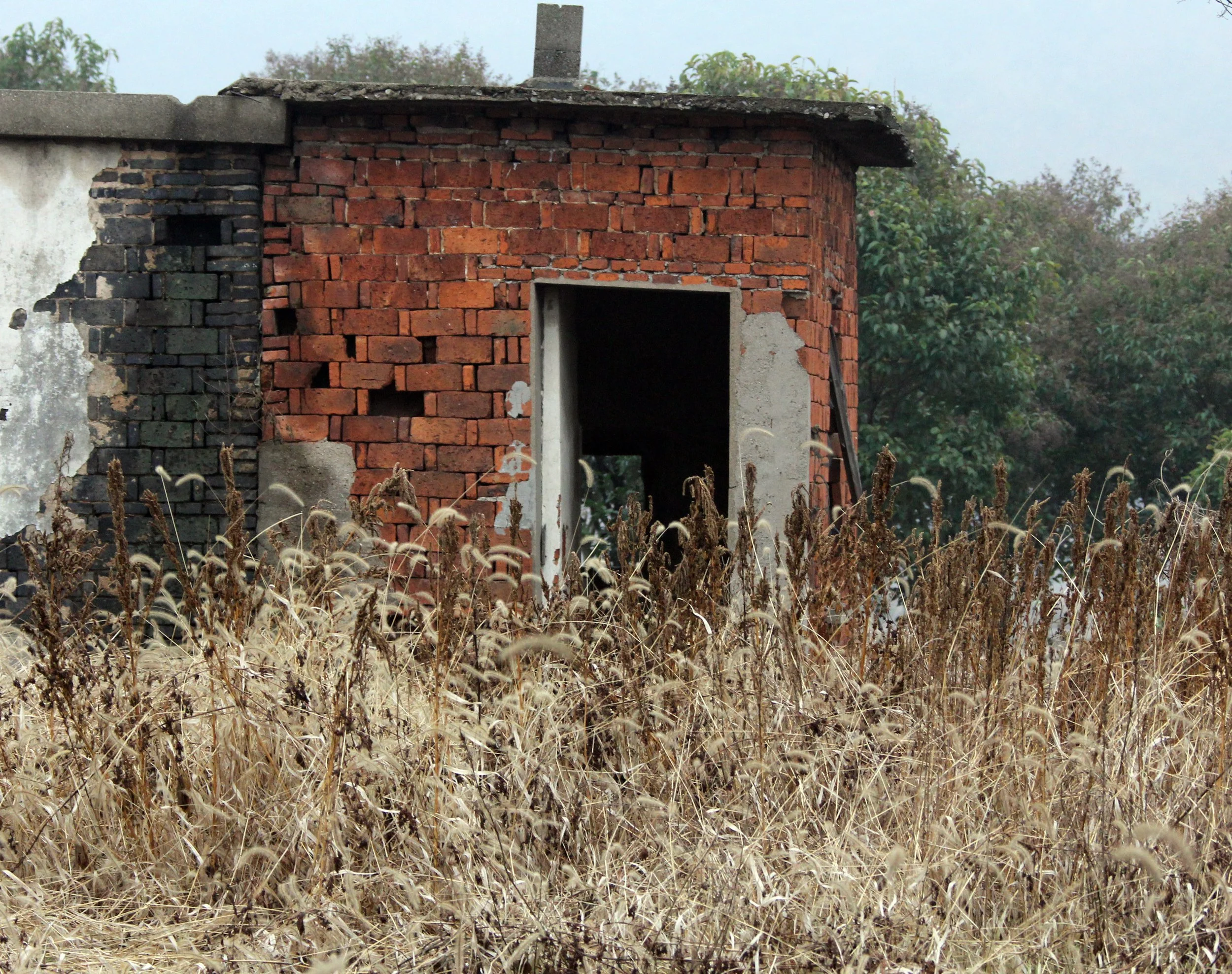 LAKE TAI JIANGSU PROVINCE - IB & APES FIELD TRIP TO LAKE TAI (63).JPG