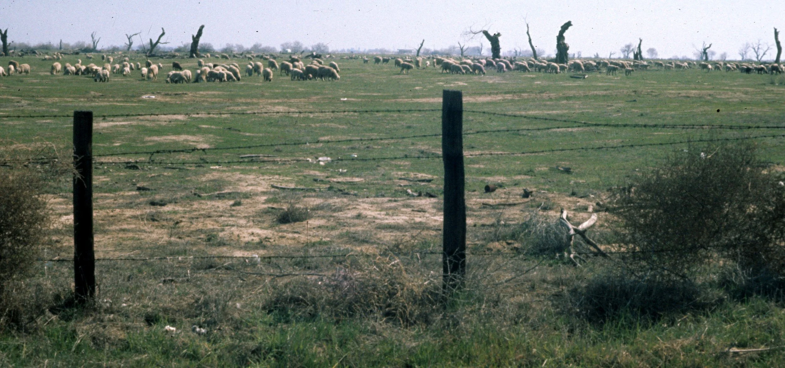 1977-8 BAKERSFIELD PROPERTY.jpg
