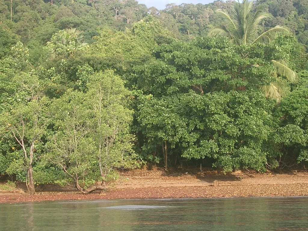 KOH LANTA - PROPERTY - 2004 (55).JPG