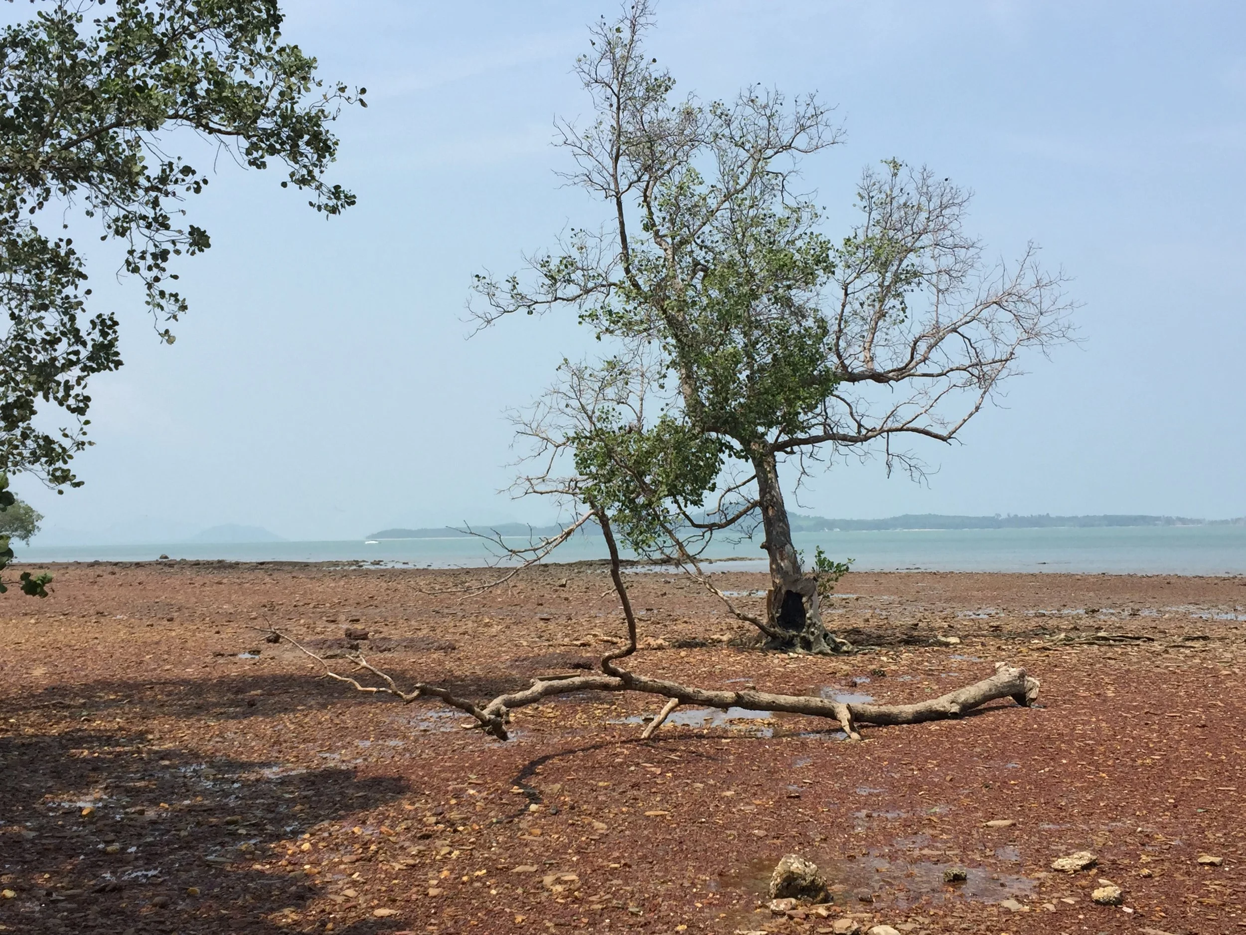 2015 Lanta Project and Scenes (56).JPG