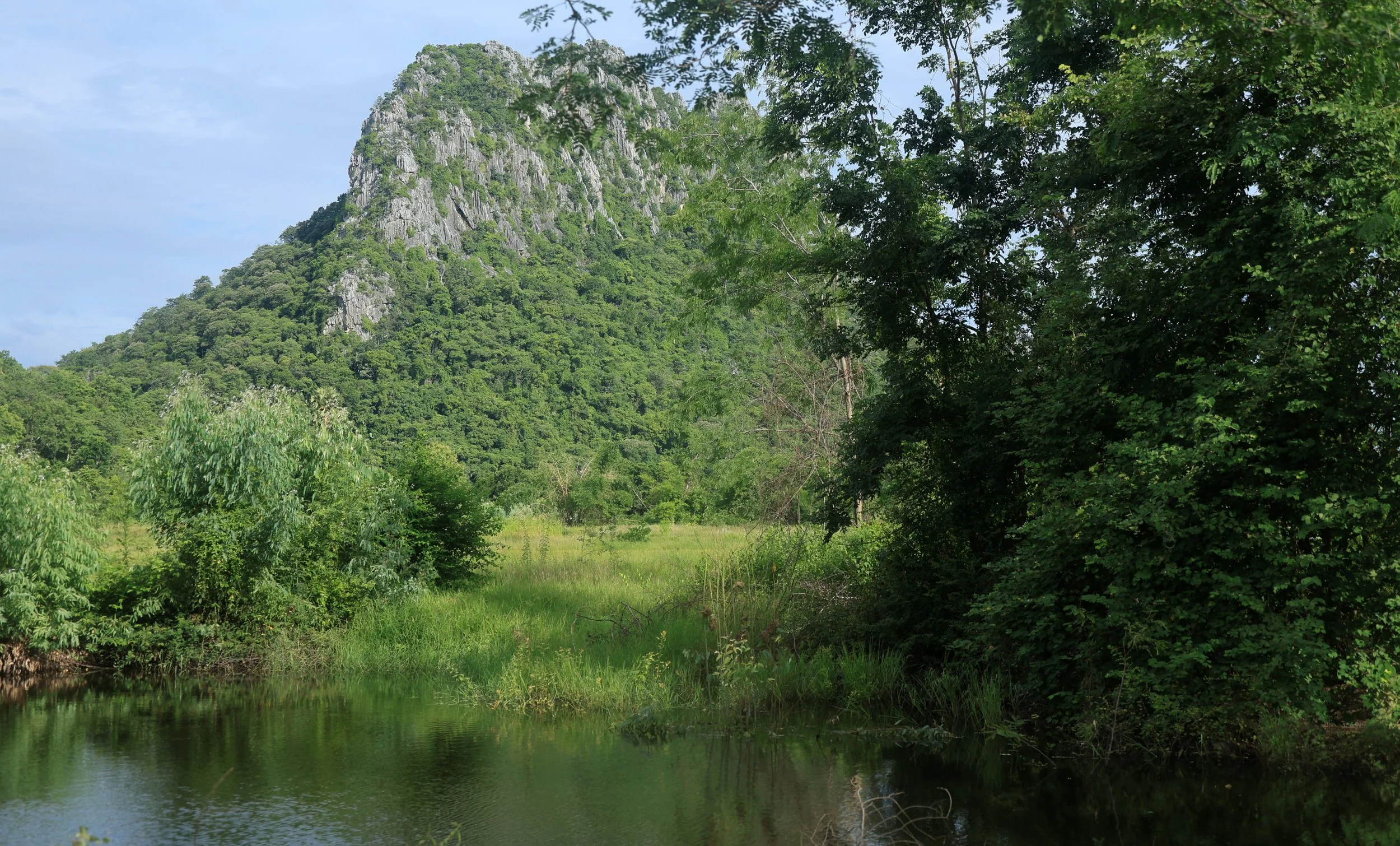 Khao Nor Khao Kaew Bat Viewing Nakhon Sawan (4).JPG