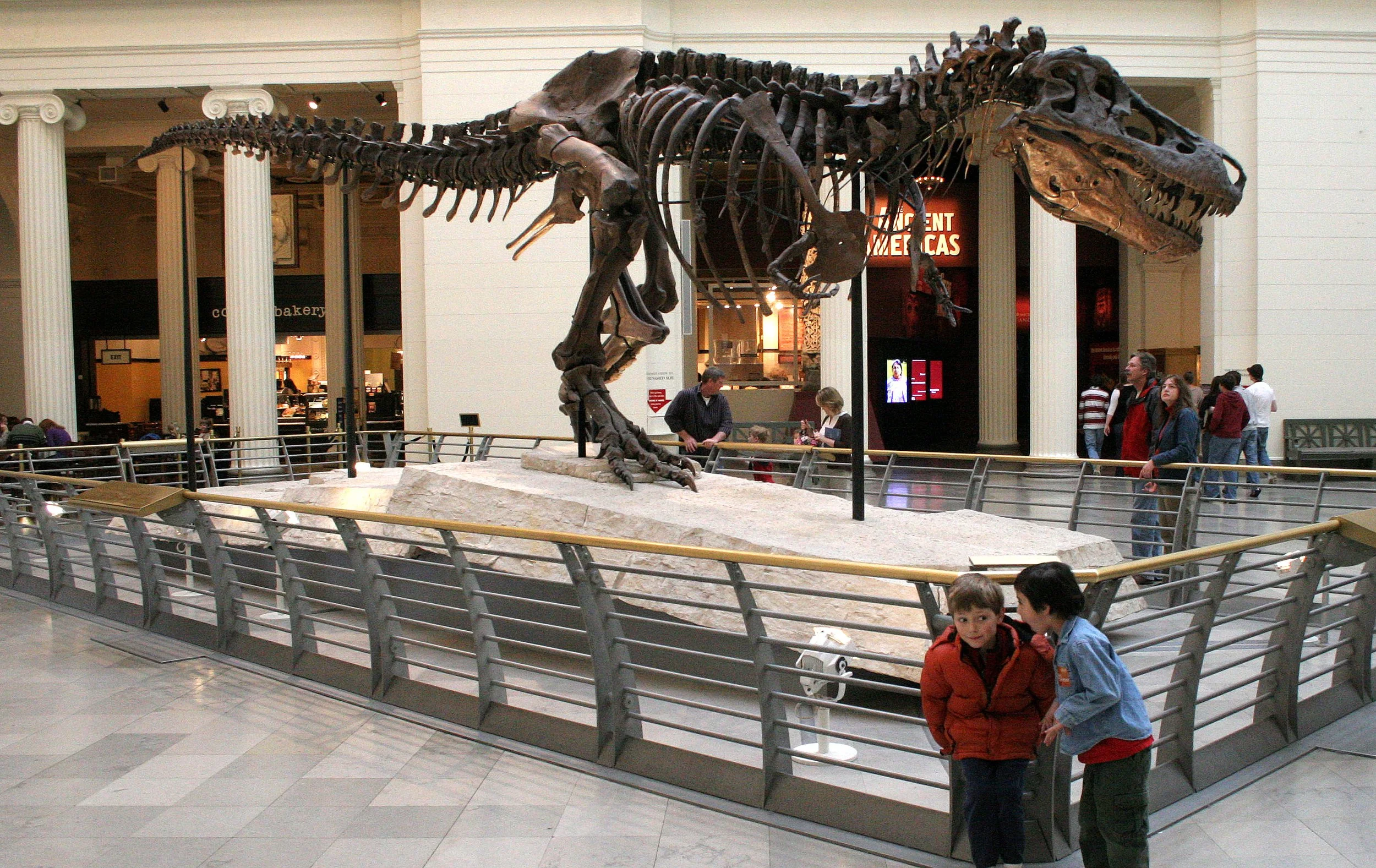 2008-3-28 CHICAGO SPRING BREAK TRIP (20).JPG