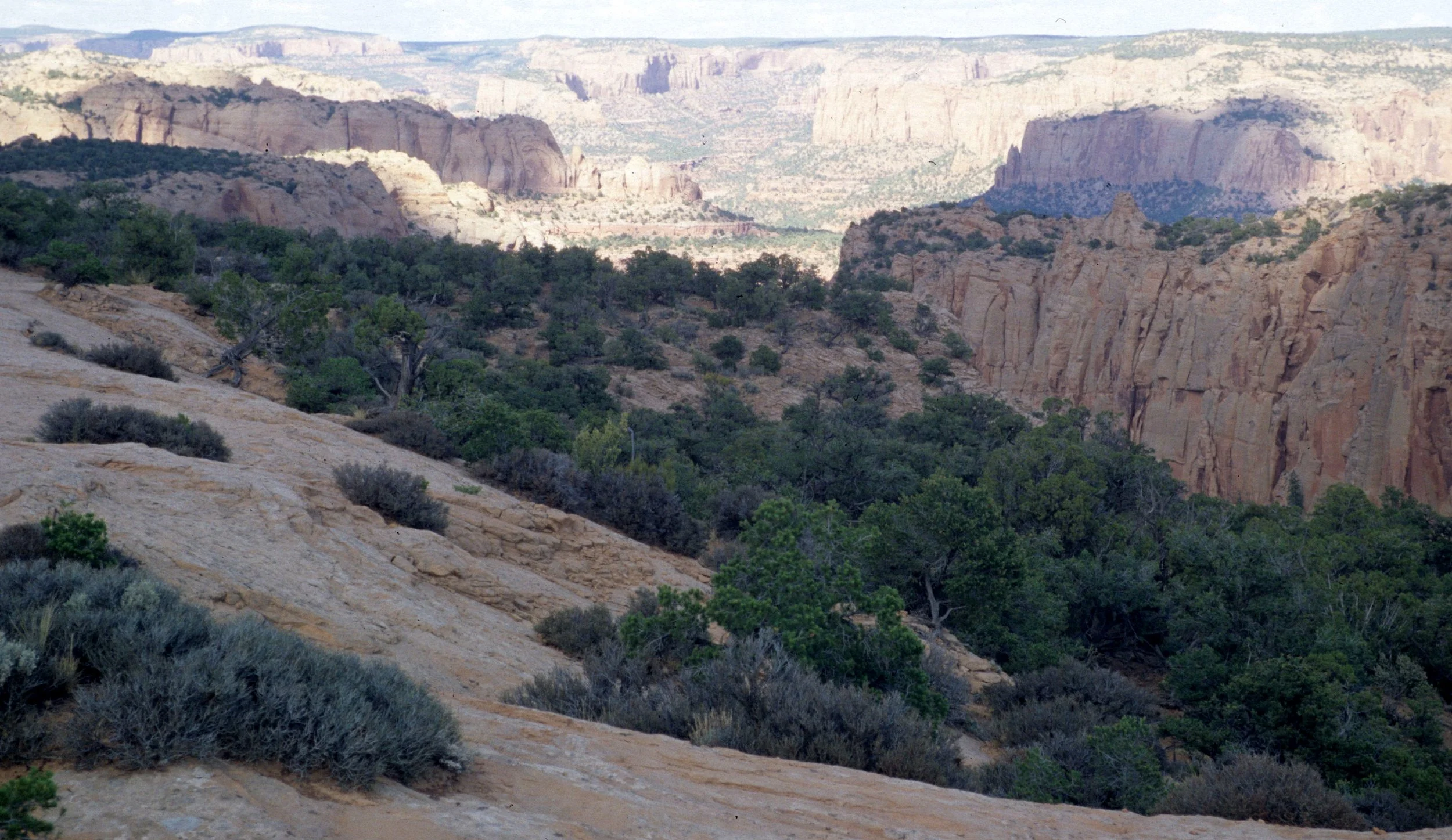 ANASAZILAND - NAVAJO NM A.jpg