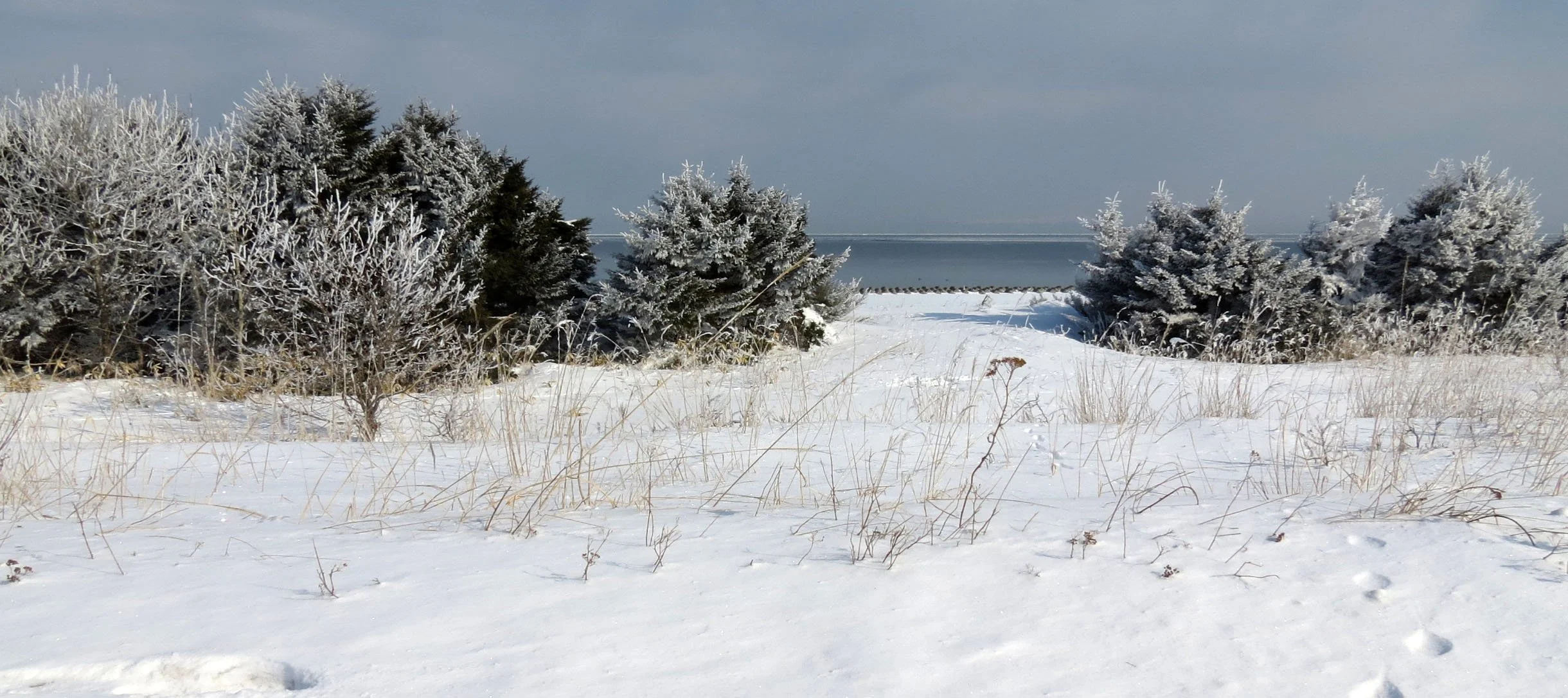 NOTSUKE PENINSULA - HOKKAIDO JAPAN (3).JPG