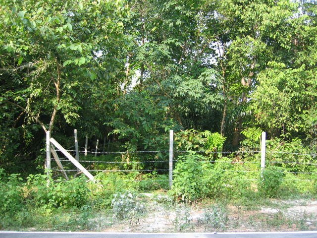 KOH LANTA - PROPERTY - 2005 (102).jpg