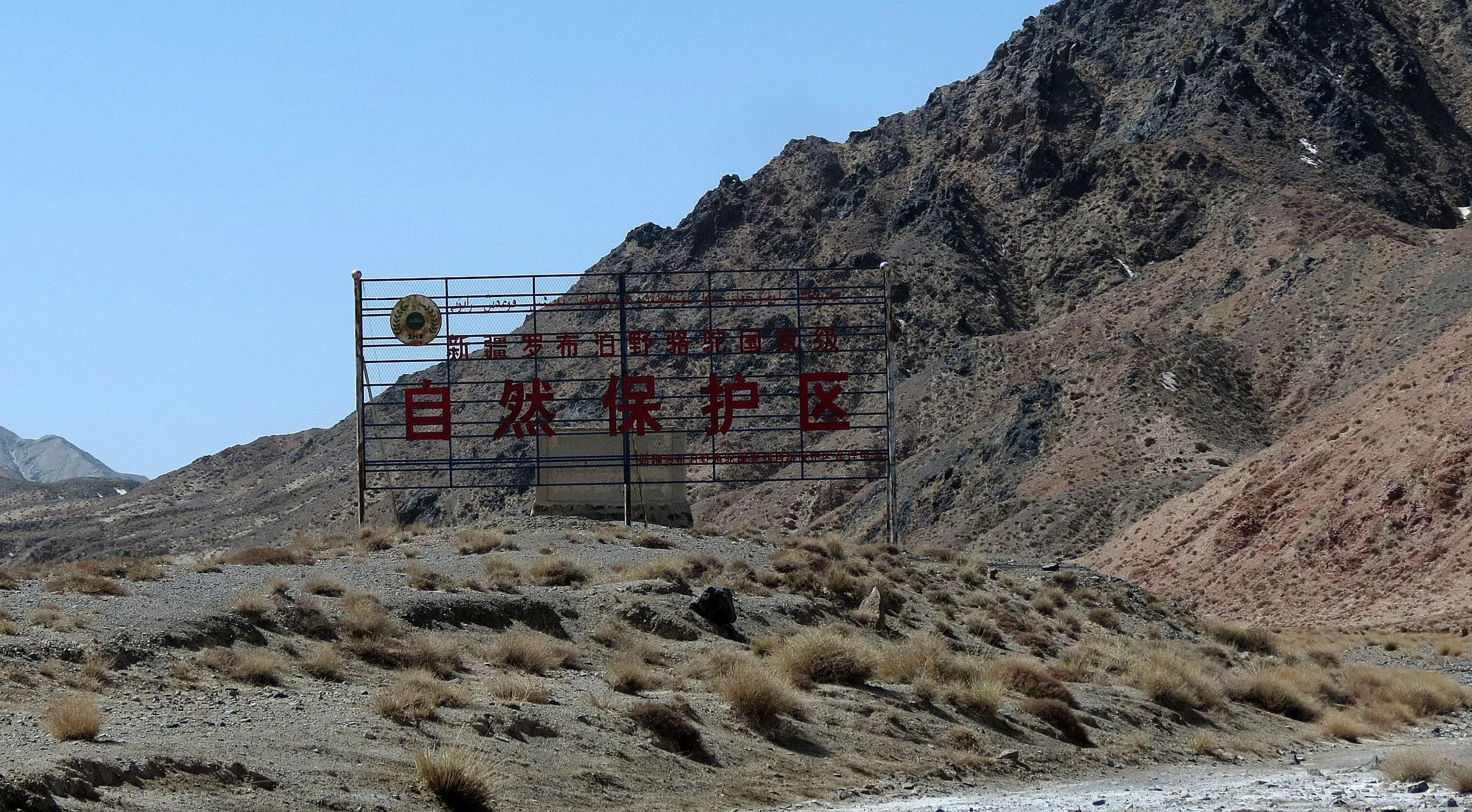 LOP NUR WILD BACTRIAN CAMEL RESERVE - XINJIANG CHINA (52).JPG