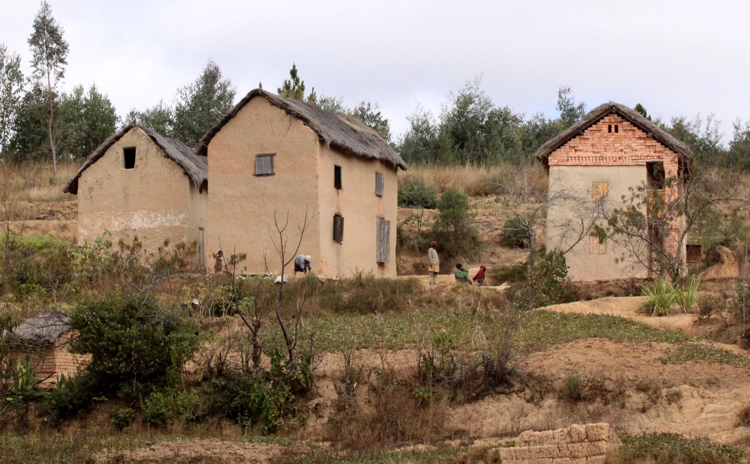 CENTRAL HIGHLANDS - ROAD TO RANOMAFANA (65).JPG