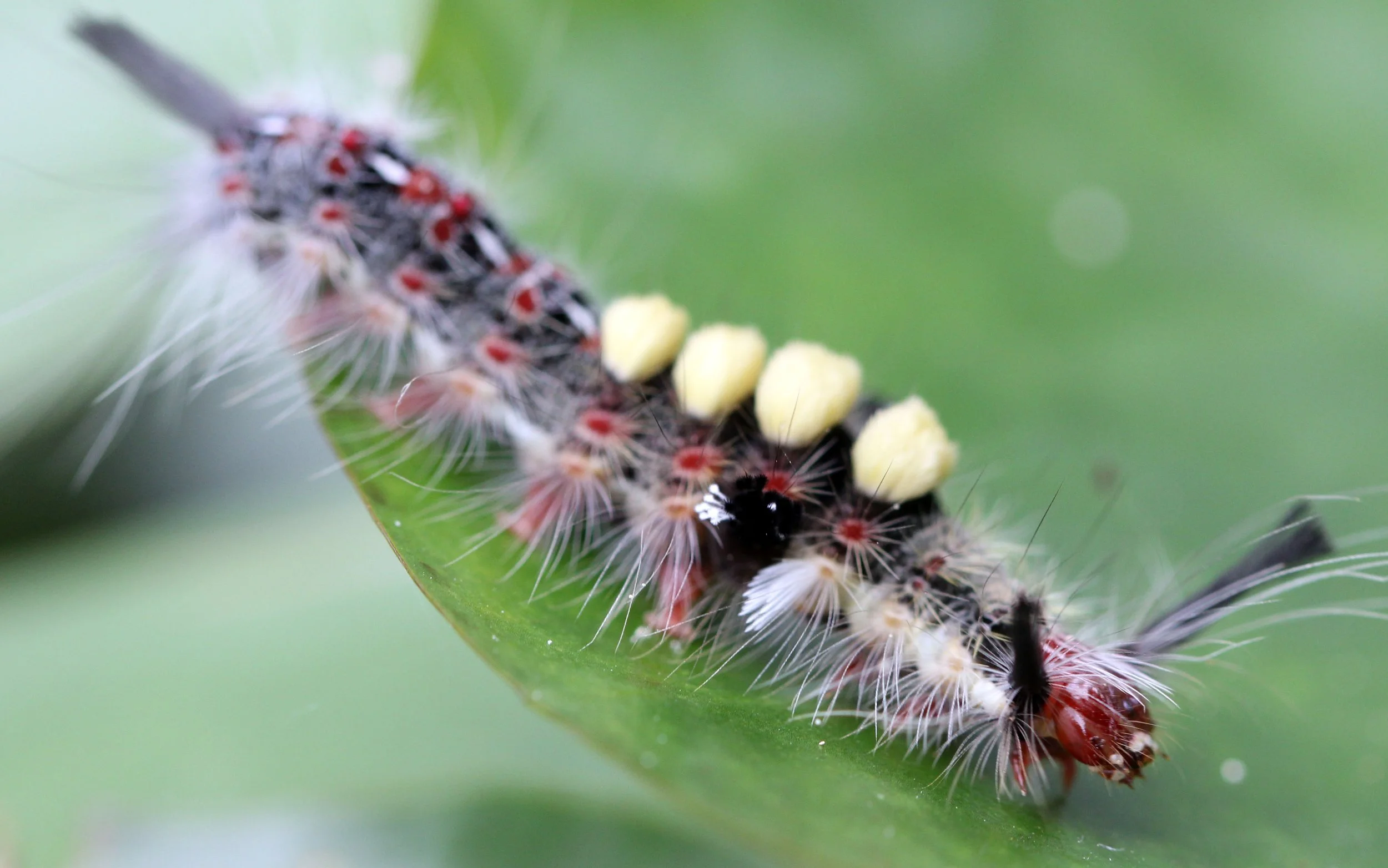 2013 Cha'am and Petchaburi with Family & Friends (14).JPG