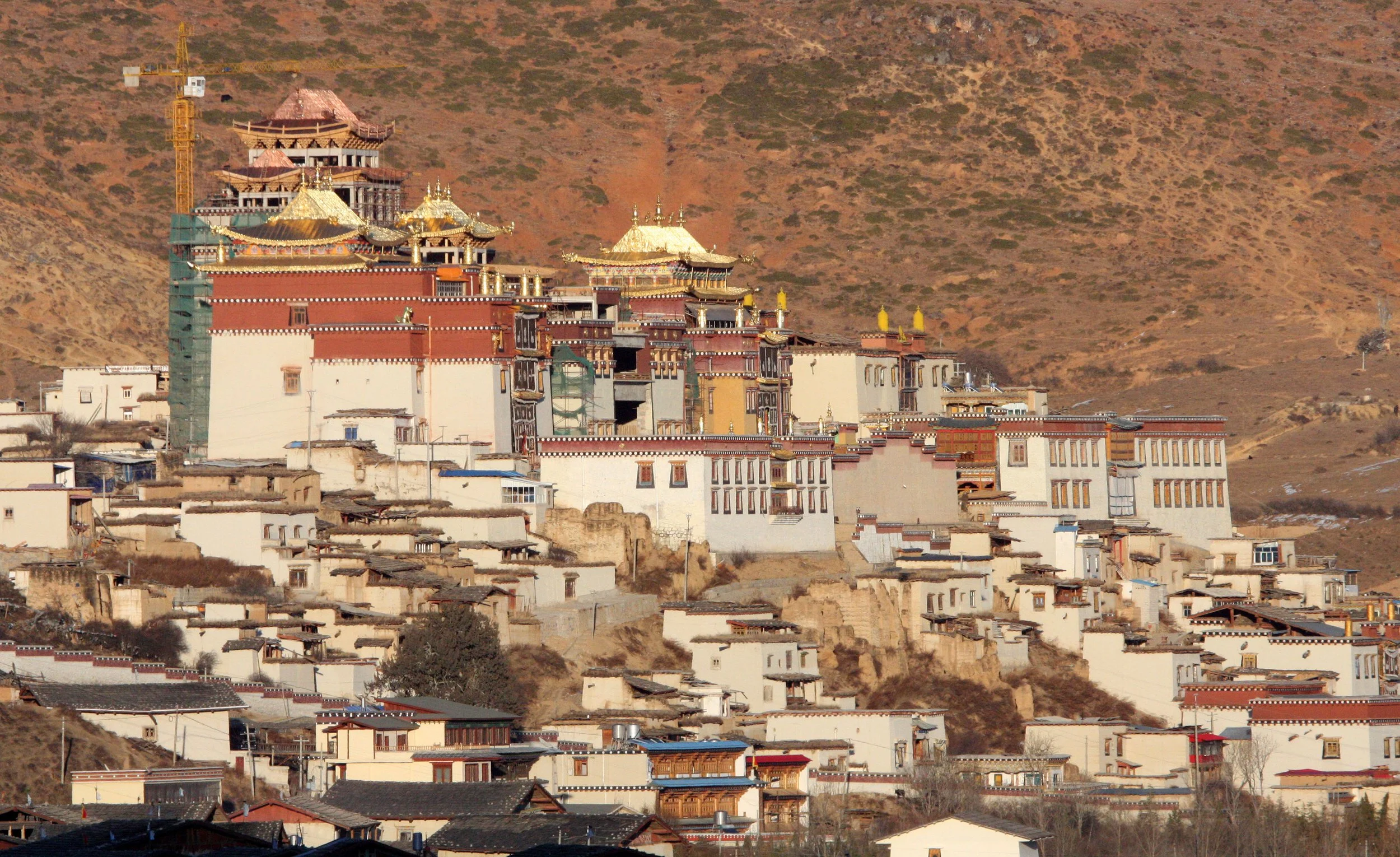 YUNNAN - SHANGRI LA - SONGZHANLIN TEMPLE (3).JPG
