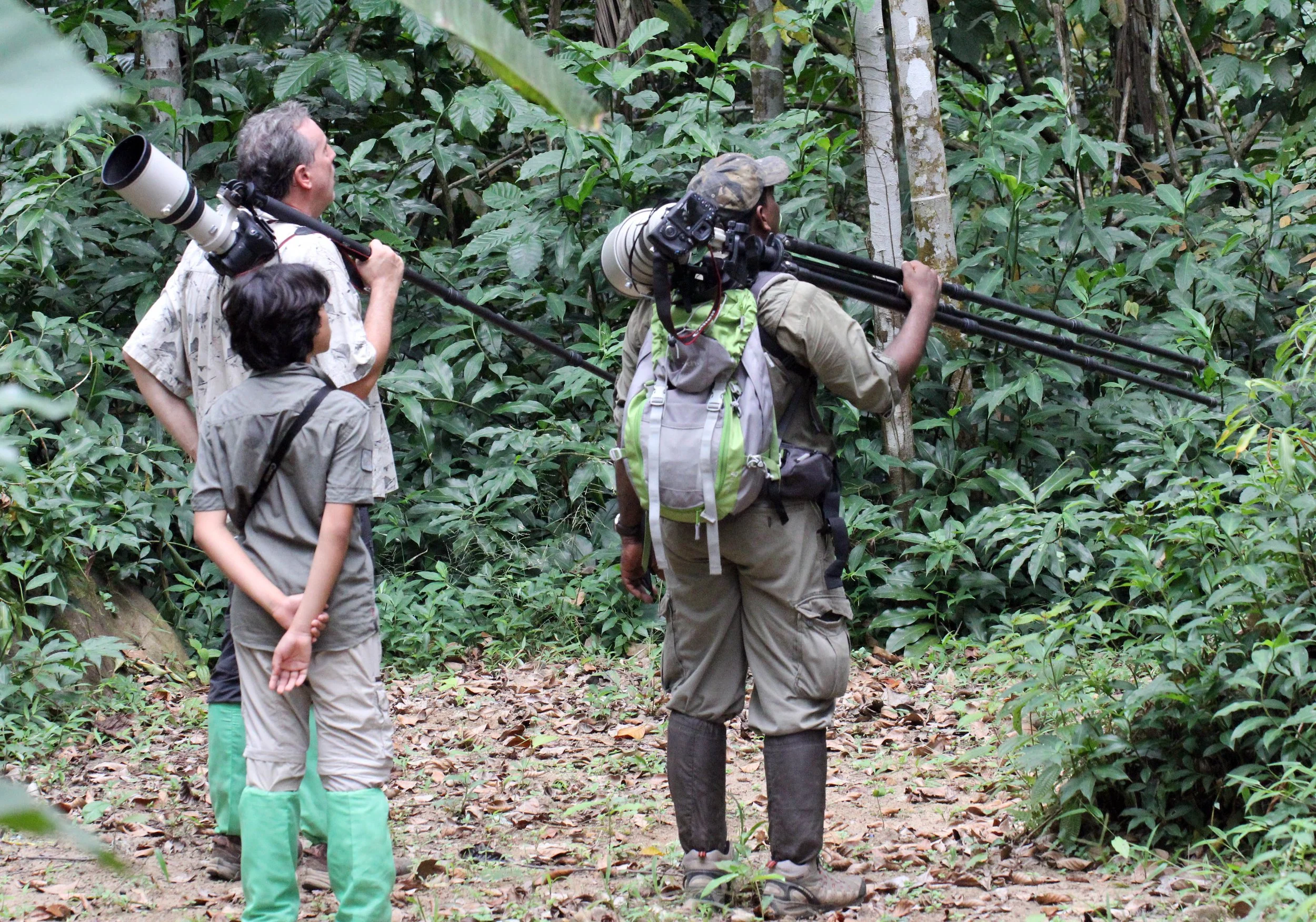 KITULGALA FOREST PRESERVE, SRI LANKA (99).JPG