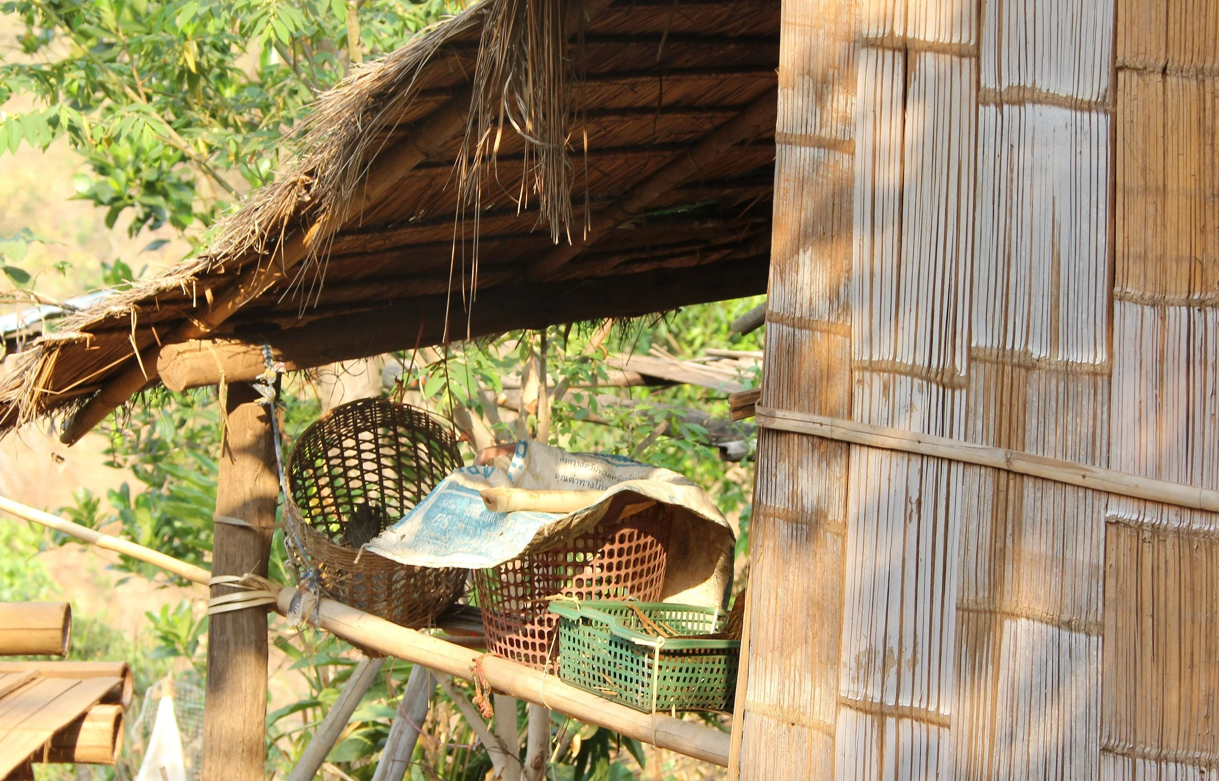 CHIANG RAI - MAE KOK RIVER FIELD STUDY WEEKEND APRIL 2-5, 2015 (38).JPG