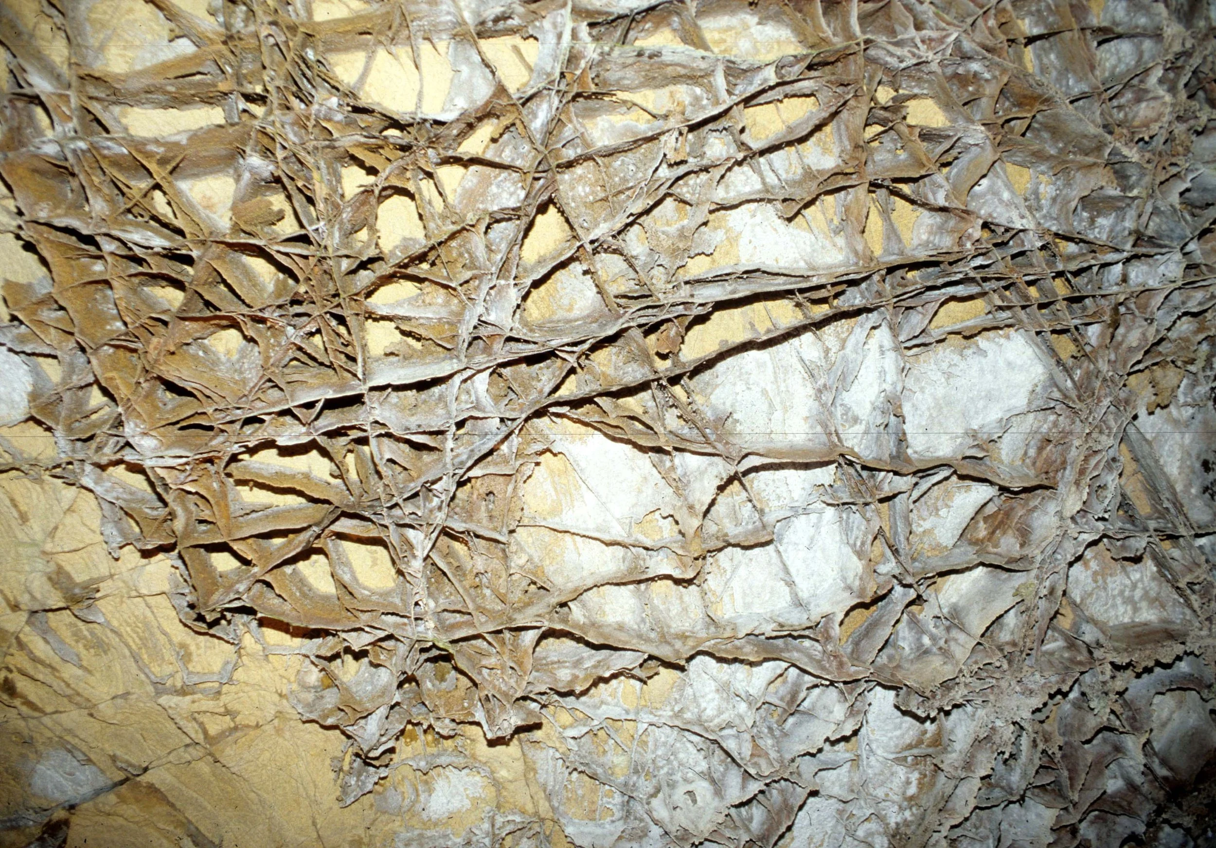 GREAT PLAINS - CAVE OF THE WINDS.jpg