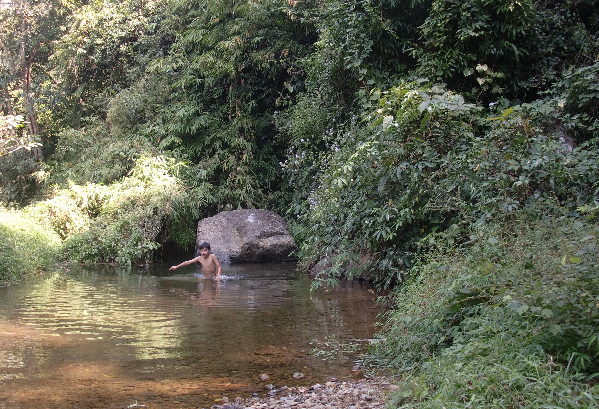 2008 Kaeng Krachan NP Trip with Cokie & Som (15).JPG