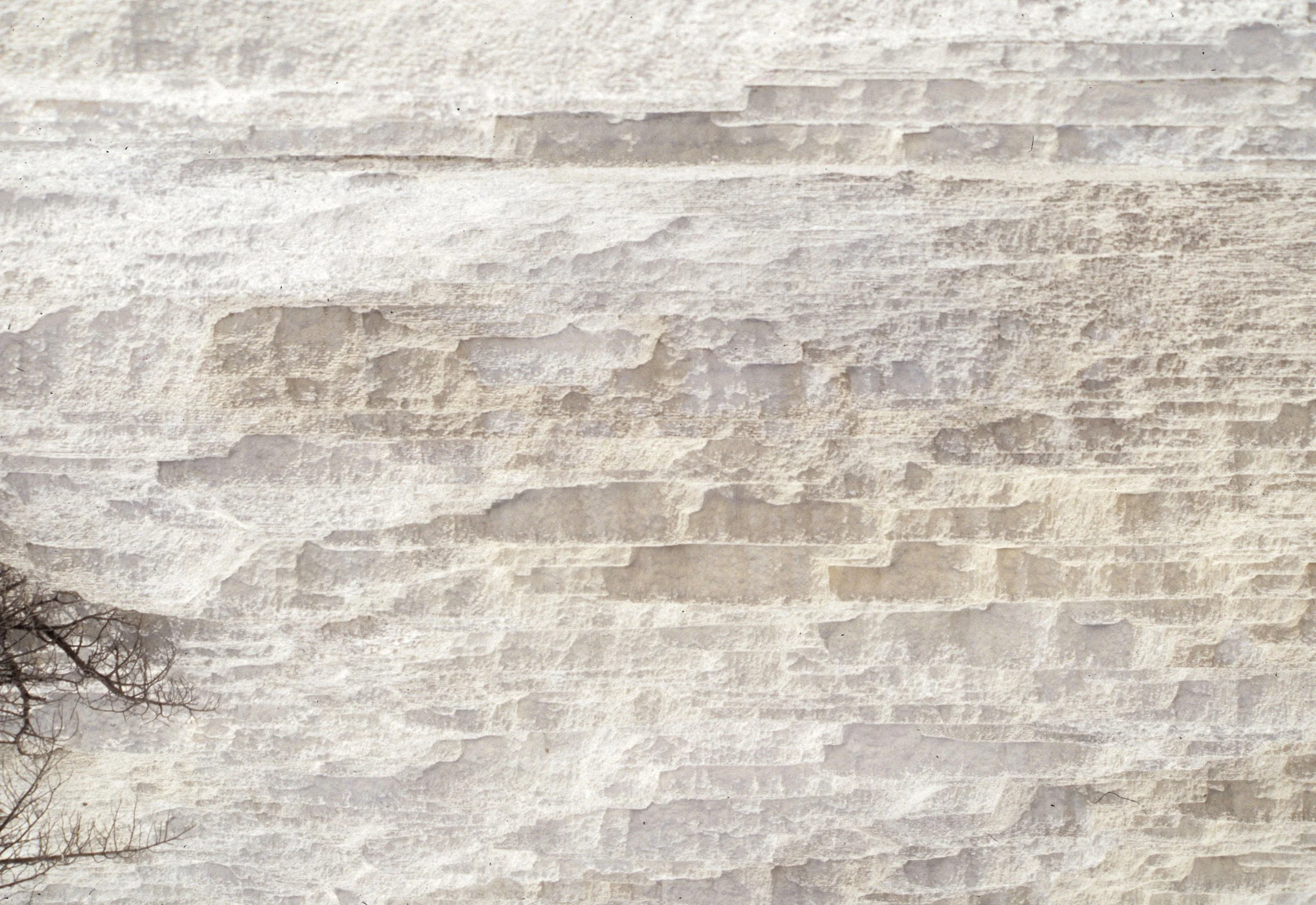 YELLOWSTONE - MAMMOTH HOTSPRINGS I.jpg