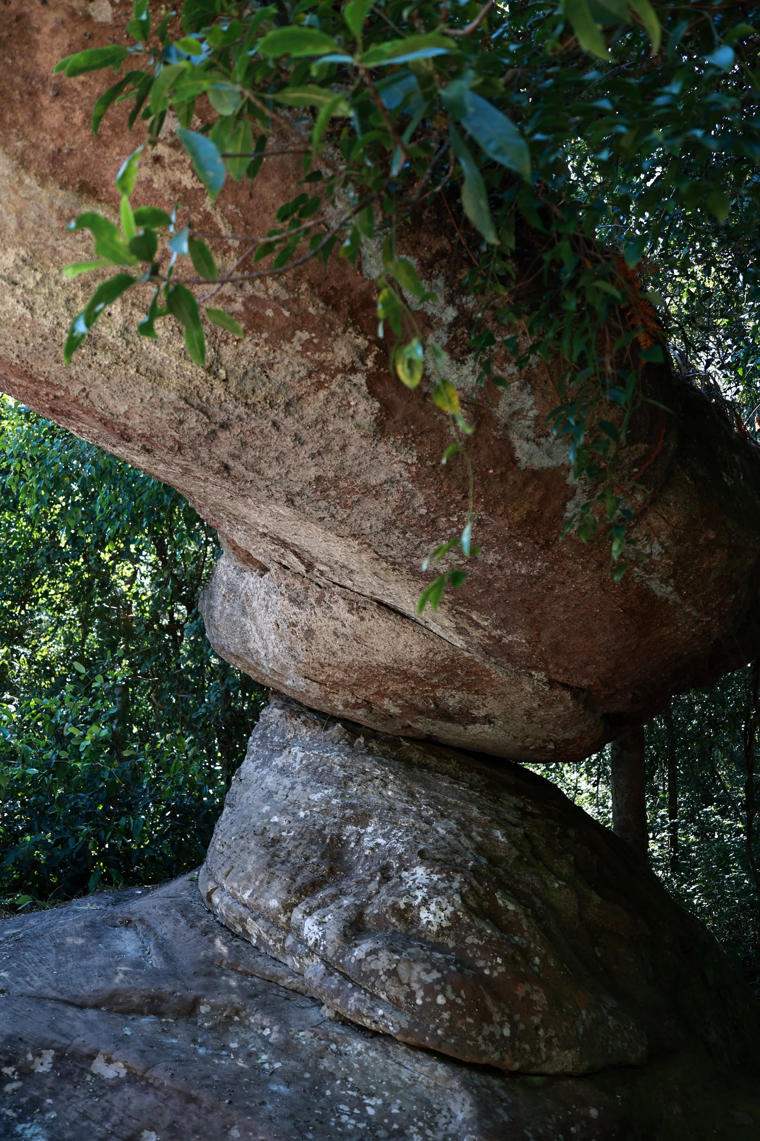 Phu Hin Rong Kla National Park Loei Province (29).jpg