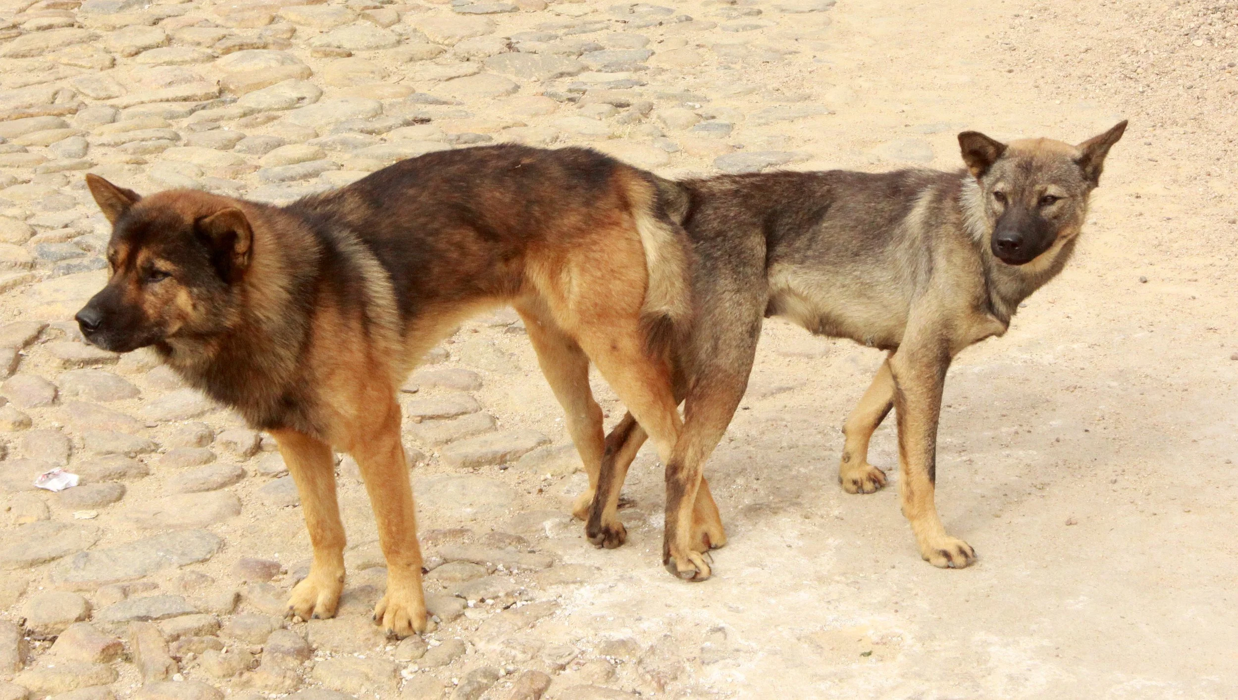 CHENGQILOU HAKKA VILLAGE - FUJIAN CHINA (105).JPG
