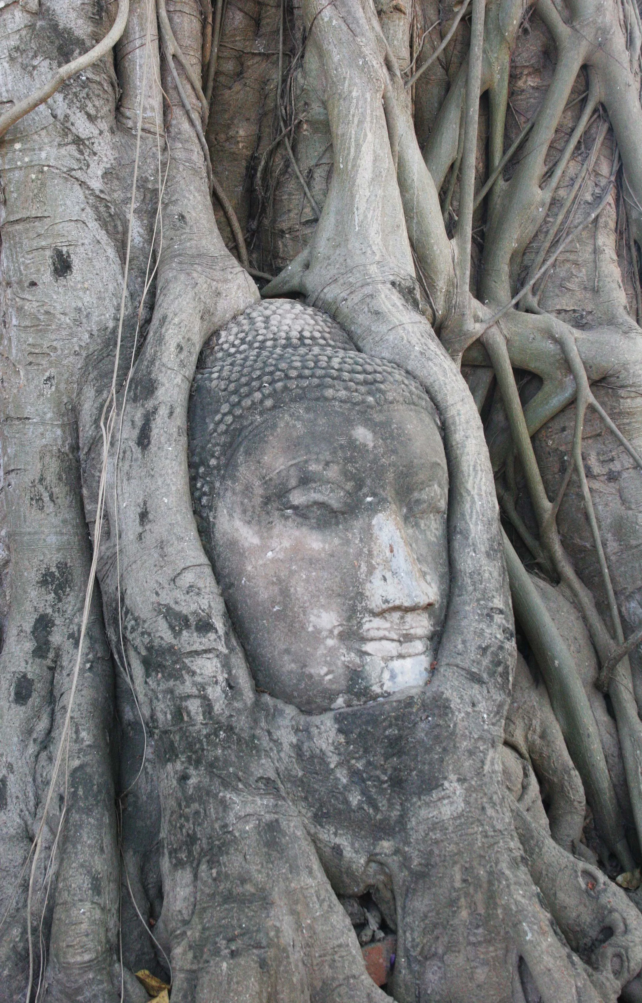 AYUDTHAYA - CHRISTMAS TRIP 2008 (21).JPG