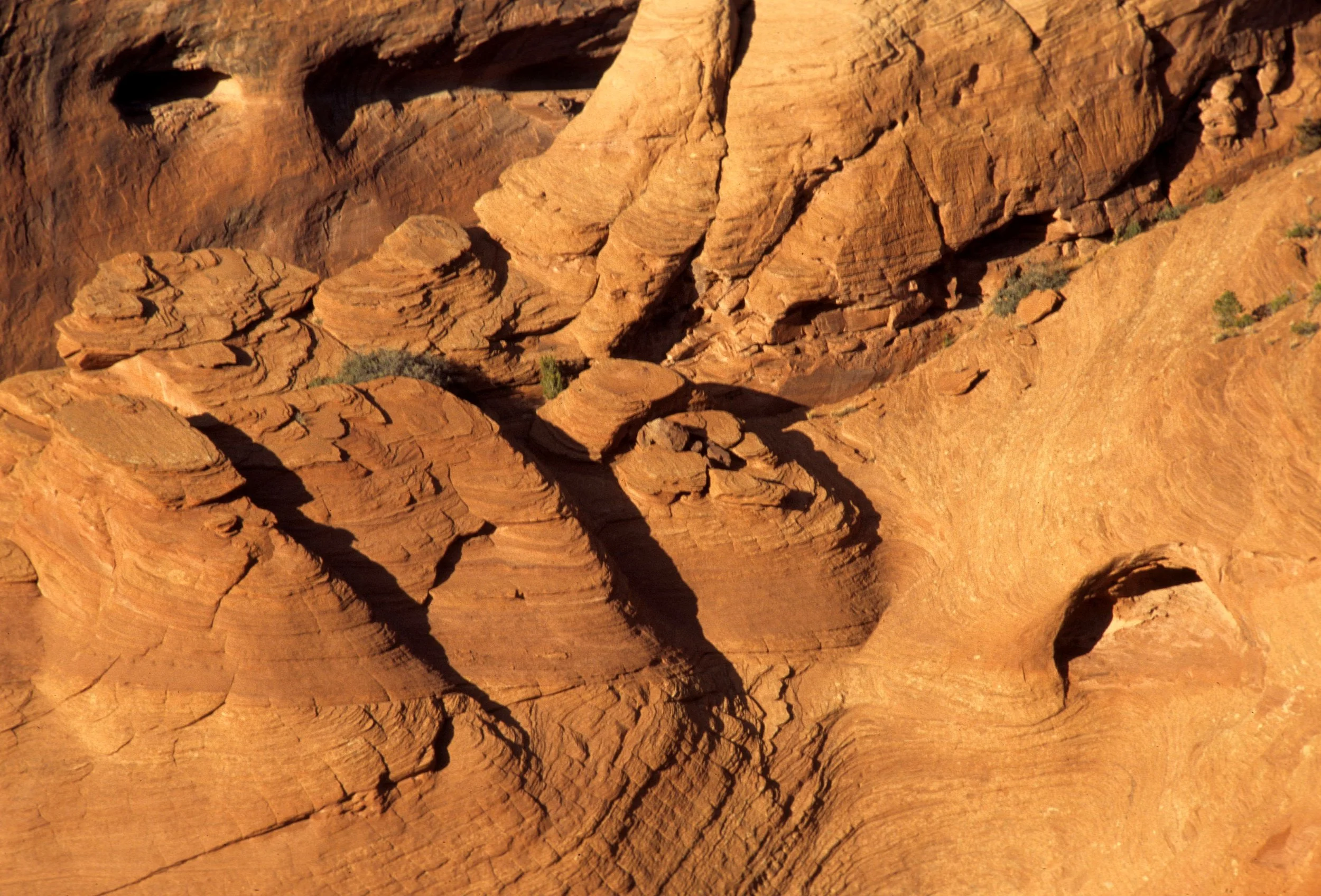 ANASAZILAND - CANYON DE CHELLY NP - ARIZONA D.jpg