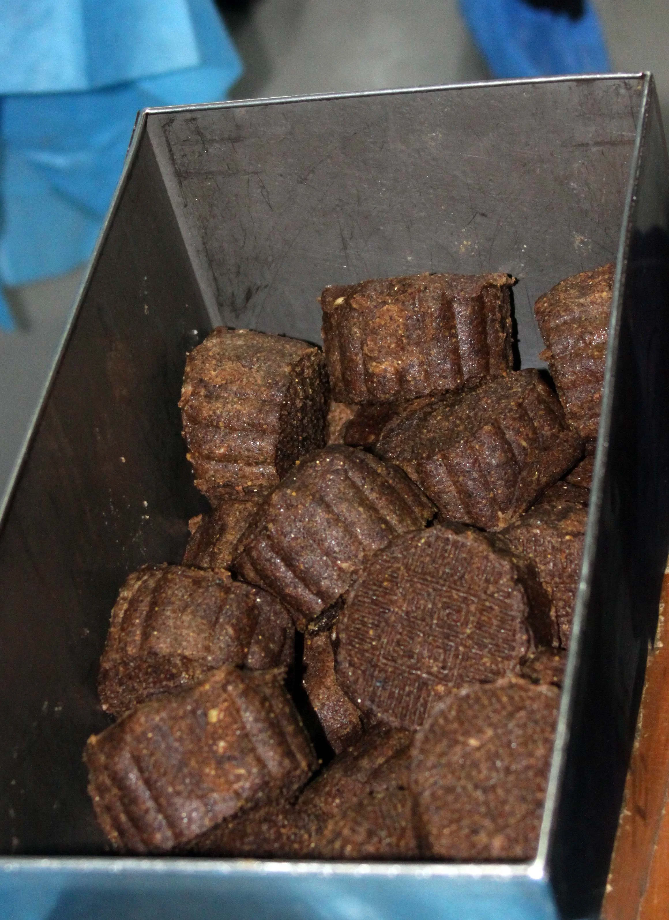 CHENGDU GIANT PANDA BREEDING CENTER - CHINA ALIVE 2011 (18).JPG