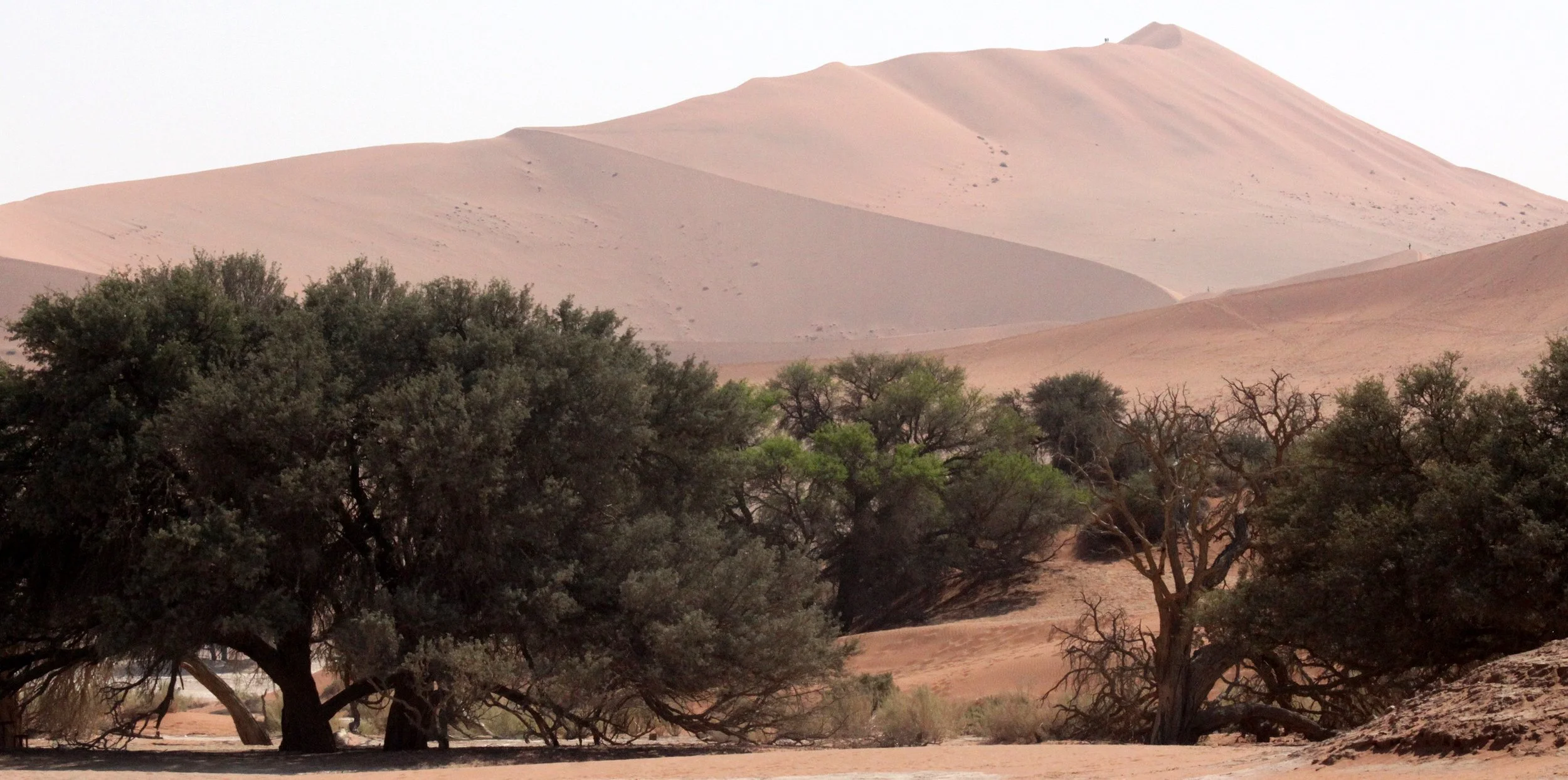SOSSUSVLEI, NAMIB NAUKLUFT NATIONAL PARK, NAMIBIA - BIG MOMMA (2).JPG